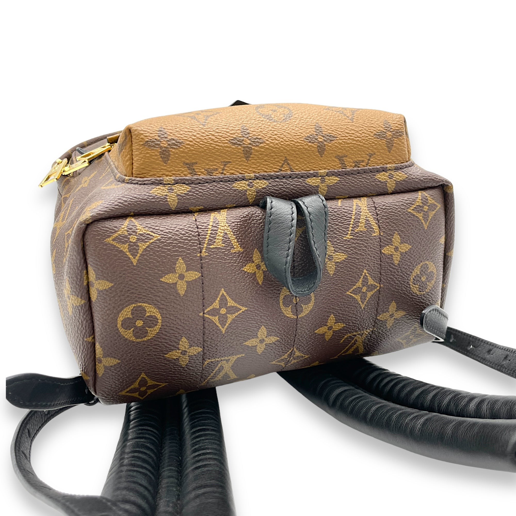 Palm Springs PM Brown Backpack in Monogram Coated Canvas, Gold hardware