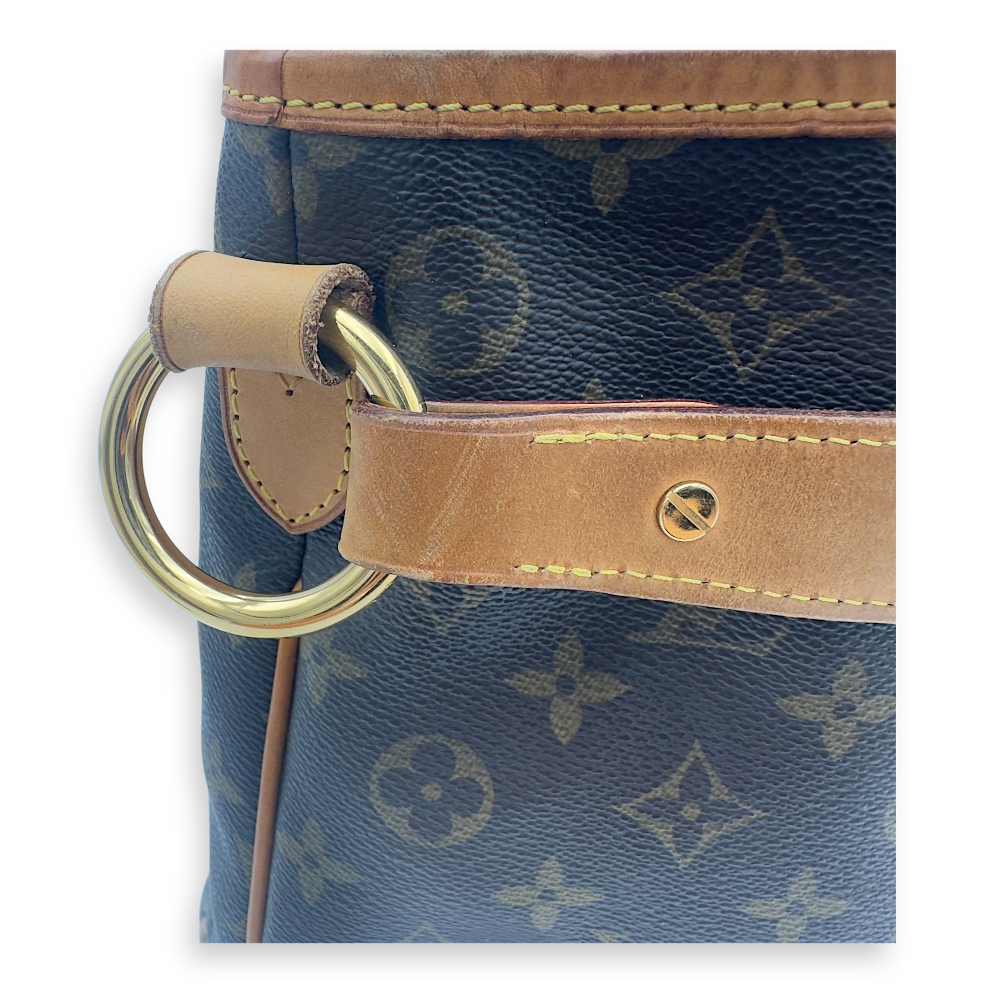 Louis Vuitton Delightful Shoulder Bag Brown in Monogram Coated Canvas, Gold hardware_18