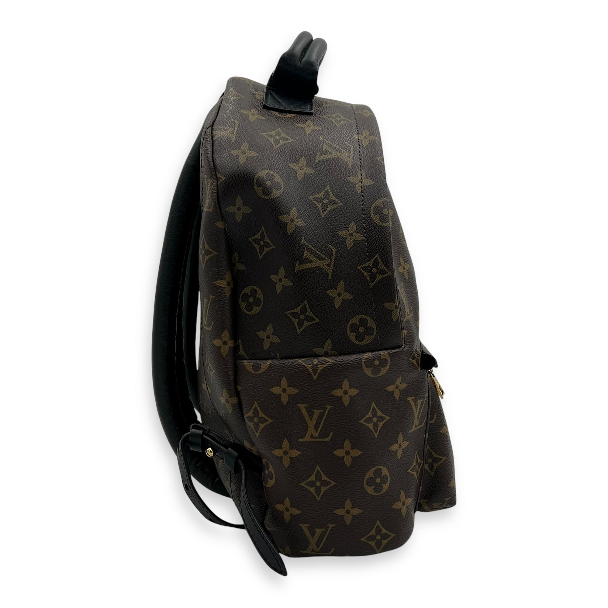 Louis Vuitton Palm Springs Backpack MM Brown in Coated Canvas, Gold hardware_3