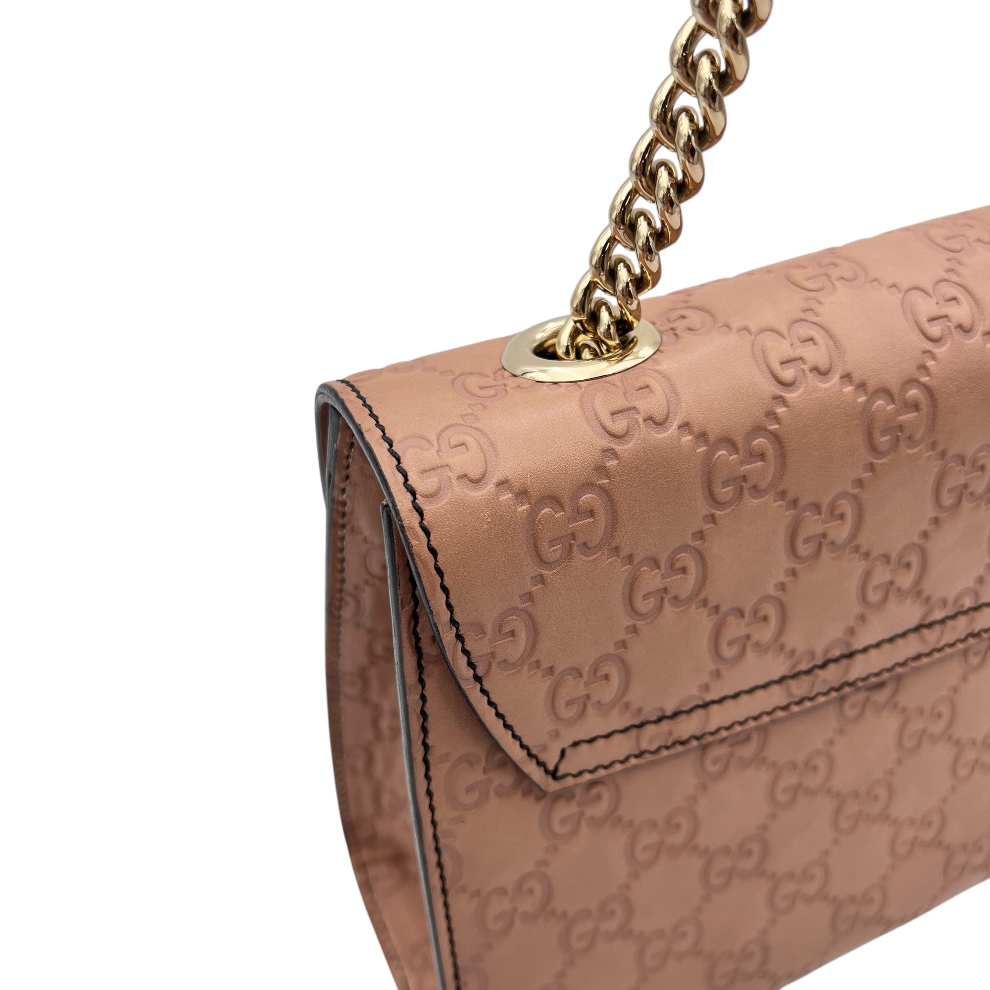 Guccissima Brown Shoulder Bag in Calfskin, Gold hardware