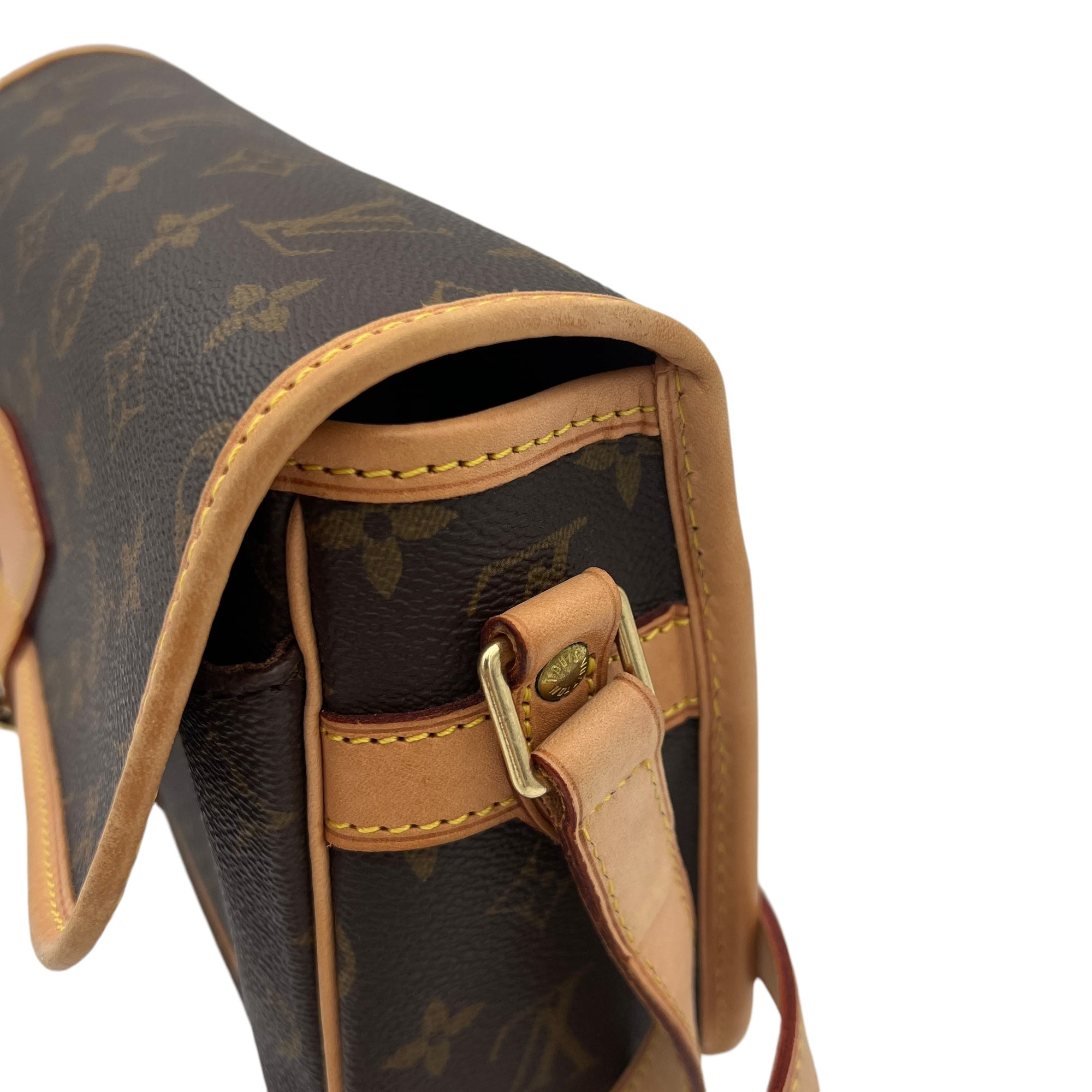 Sologne Crossbody Bag Brown in Monogram Coated Canvas, Gold hardware