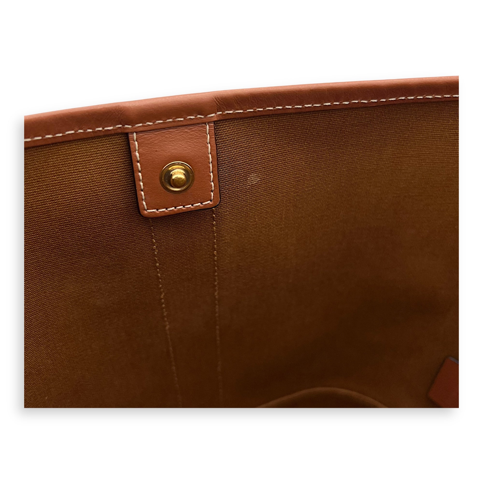 Celine Triomphe Bucket Bag Brown in Coated Canvas, Gold hardware_8