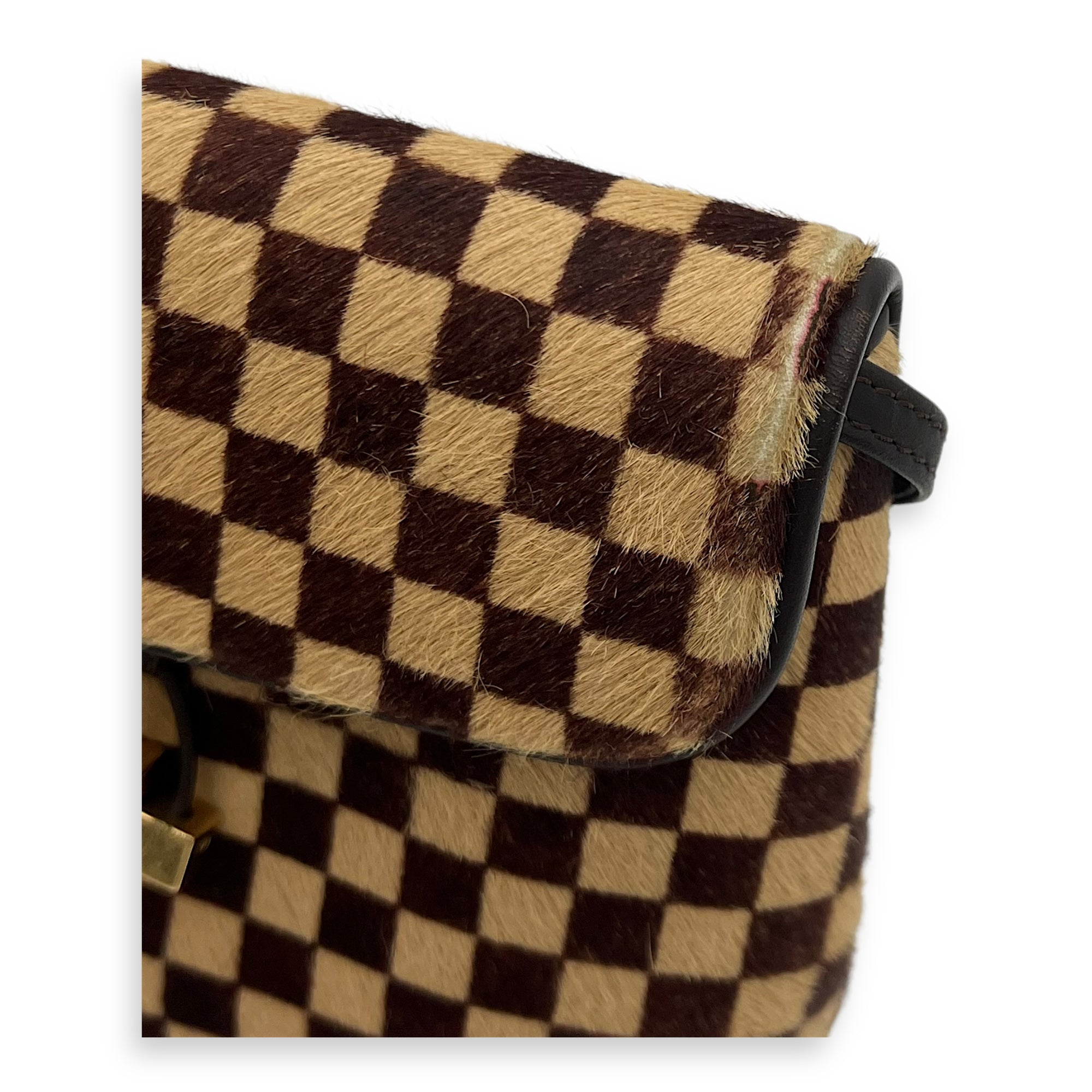 Louis Vuitton Sauvage Crossbody Bag Brown in Others, Gold hardware_9