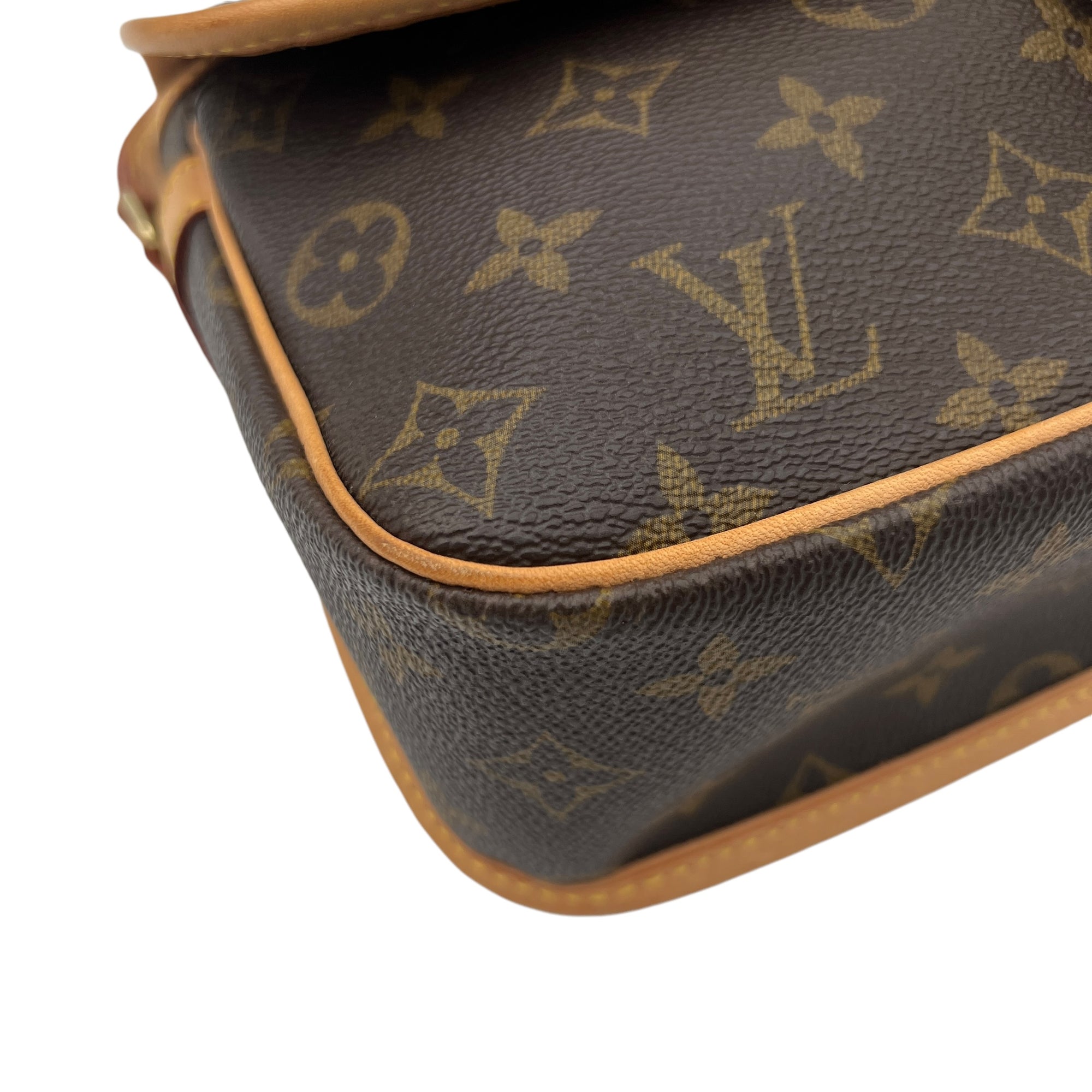 Sologne Crossbody Bag Brown in Monogram Coated Canvas, Gold hardware