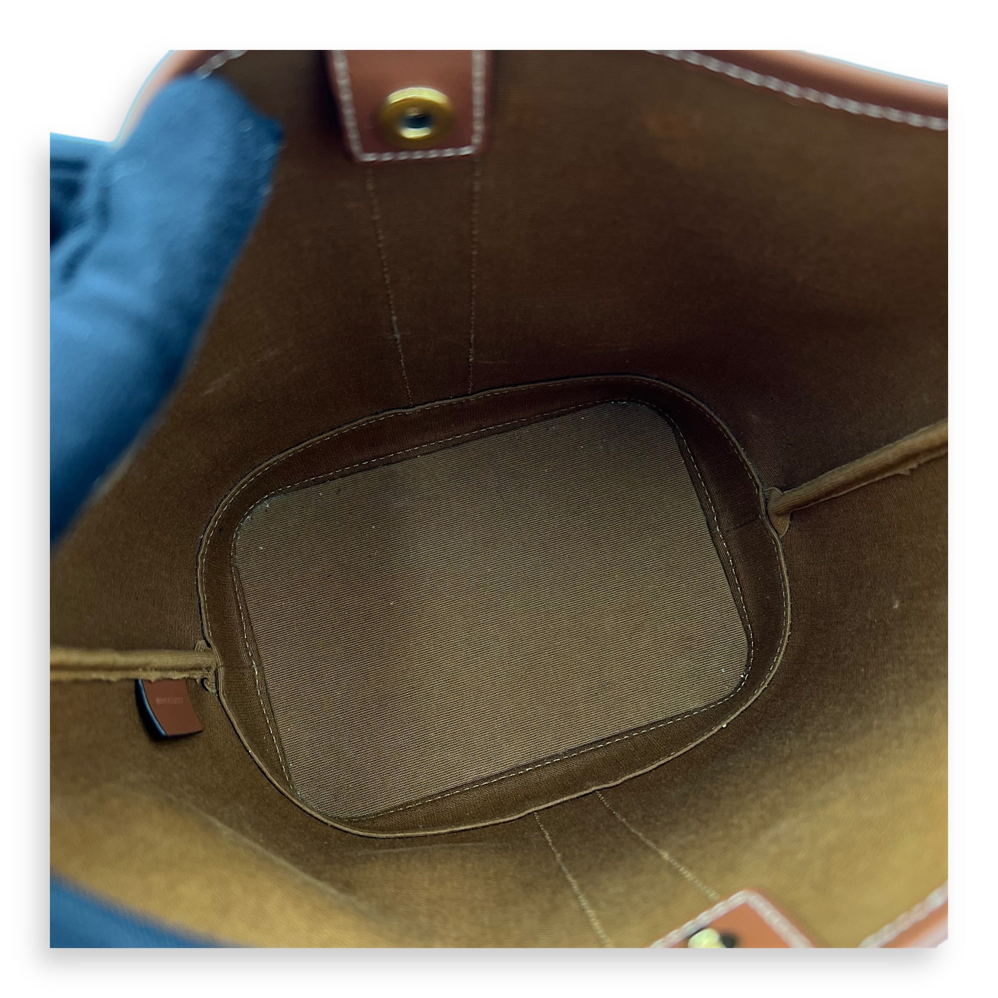 Celine Triomphe Bucket Bag Brown in Coated Canvas, Gold hardware_6