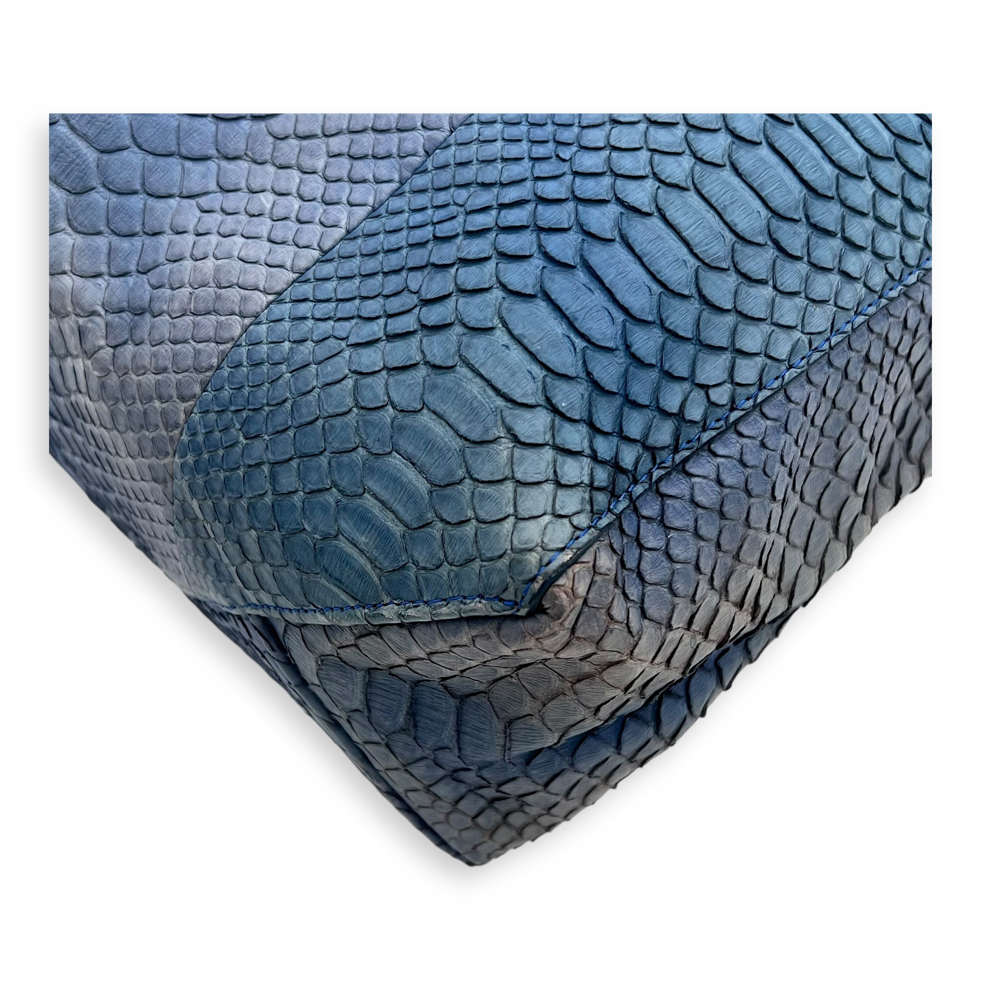 Celine Cabas Tote Bag Blue in Python Leather, Gold hardware_13