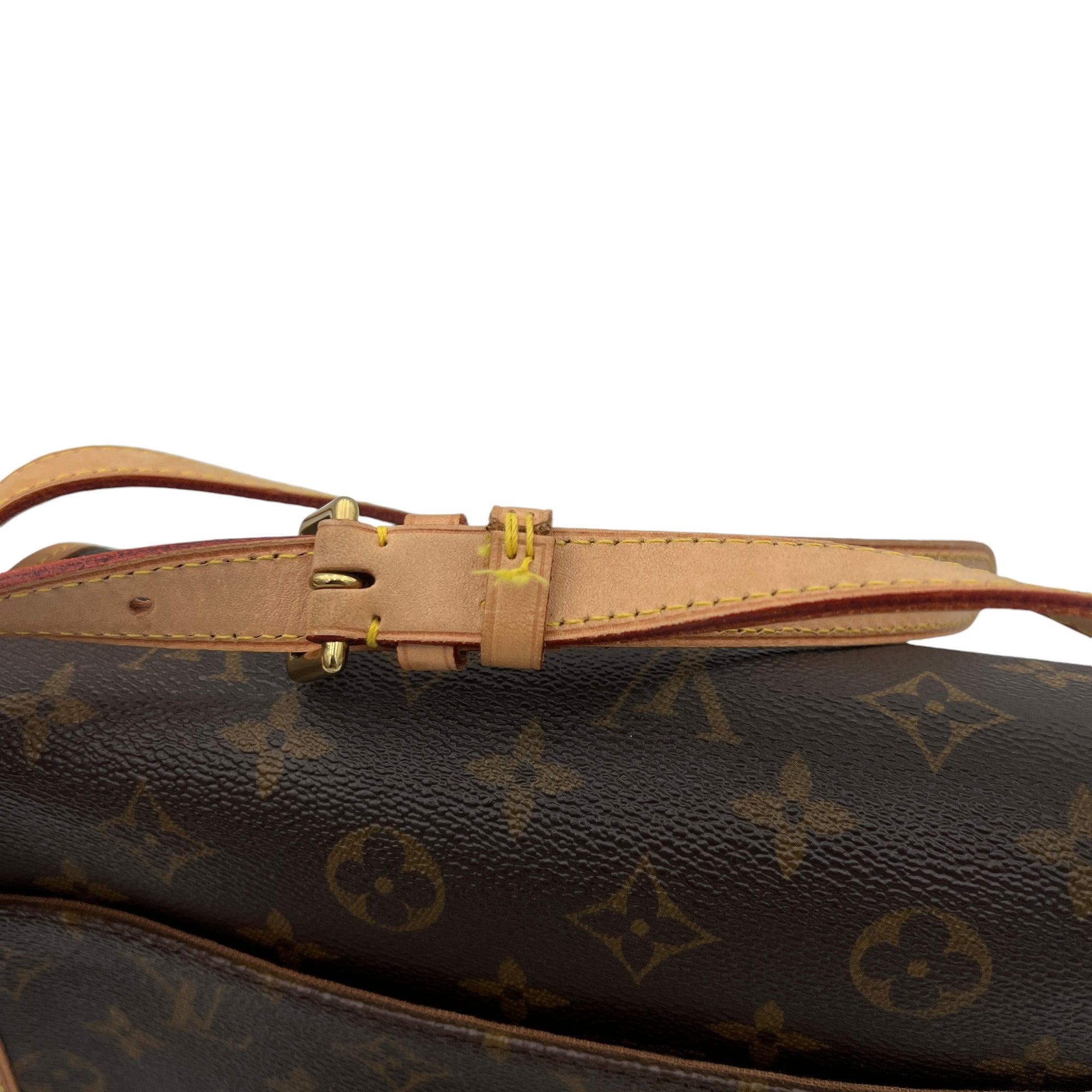 Sologne Crossbody Bag Brown in Monogram Coated Canvas, Gold hardware