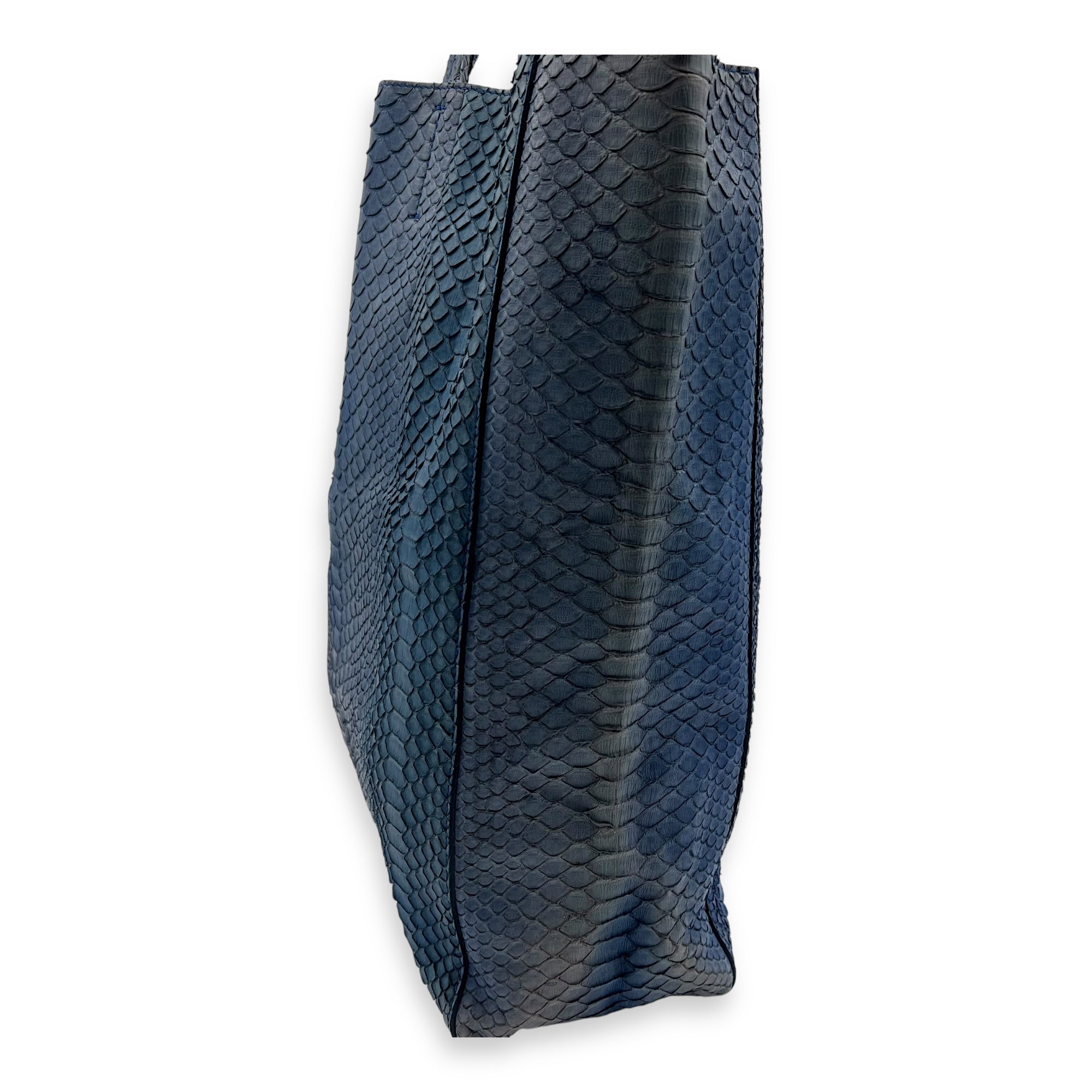 Celine Cabas Tote Bag Blue in Python Leather, Gold hardware_8