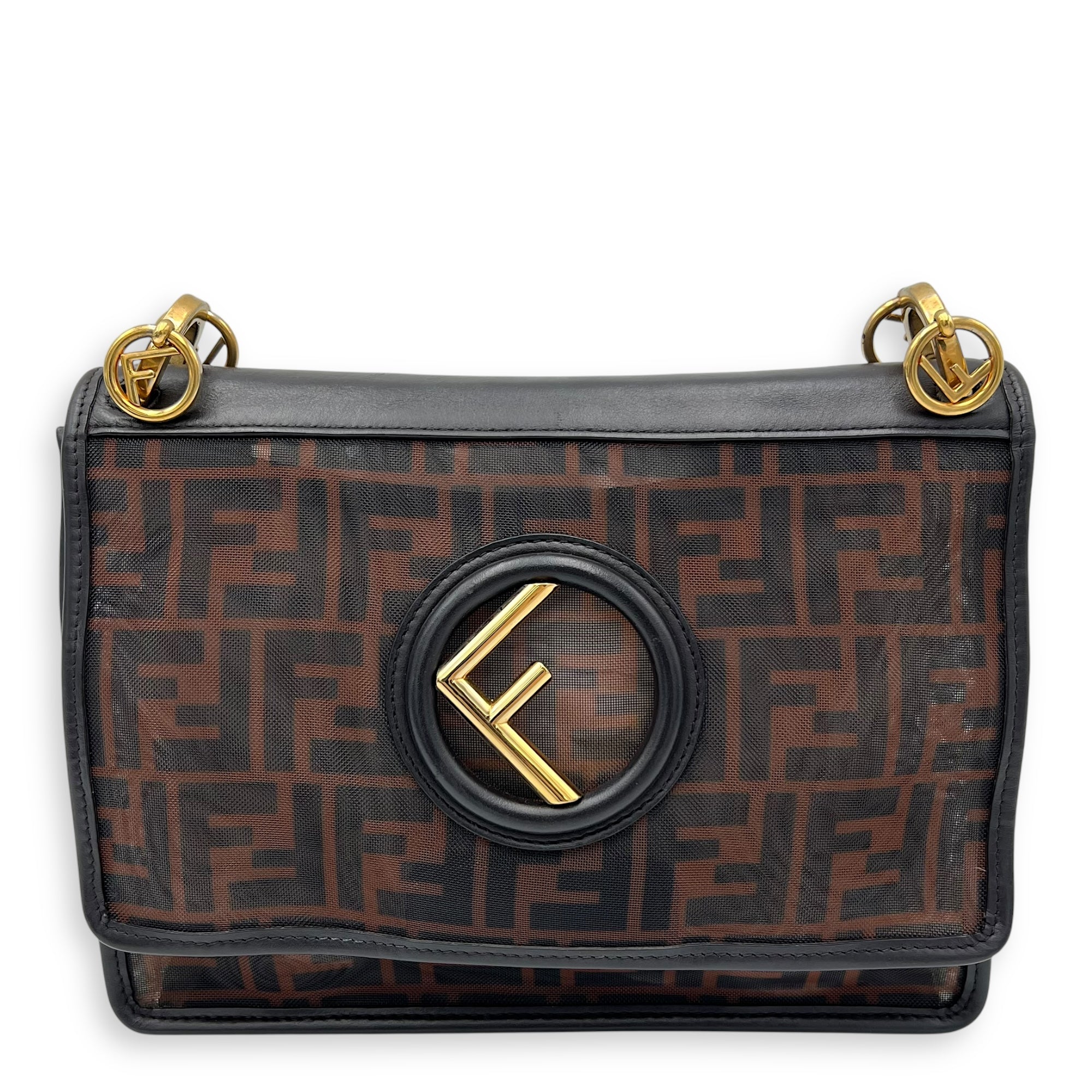 Fendi Kan I Shoulder Bag Brown in Mesh, Gold hardware_1