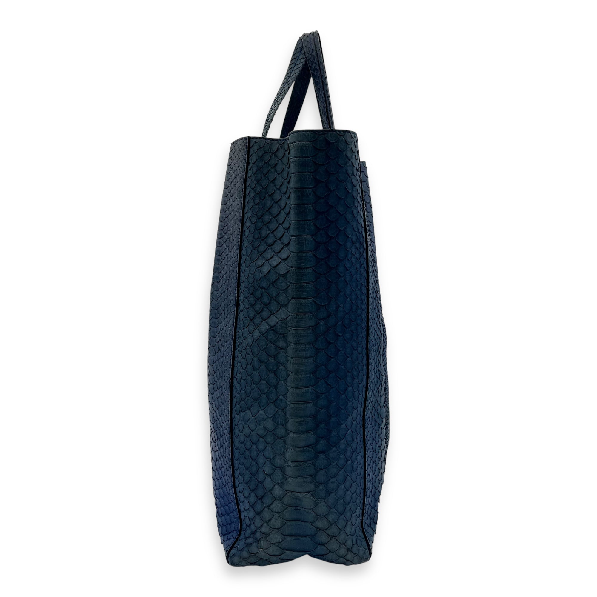 Celine Cabas Tote Bag Blue in Python Leather, Gold hardware_4
