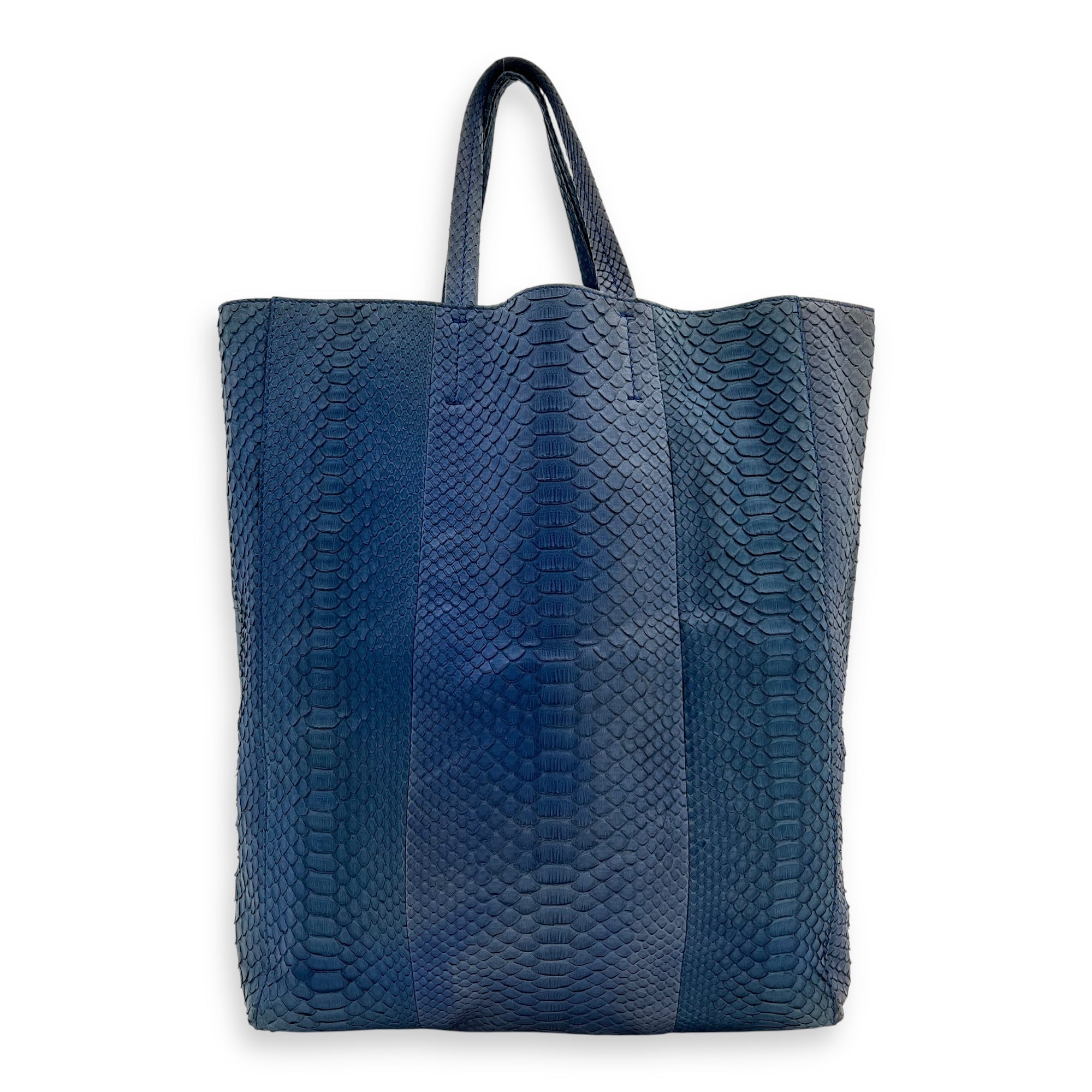 Celine Cabas Tote Bag Blue in Python Leather, Gold hardware_2