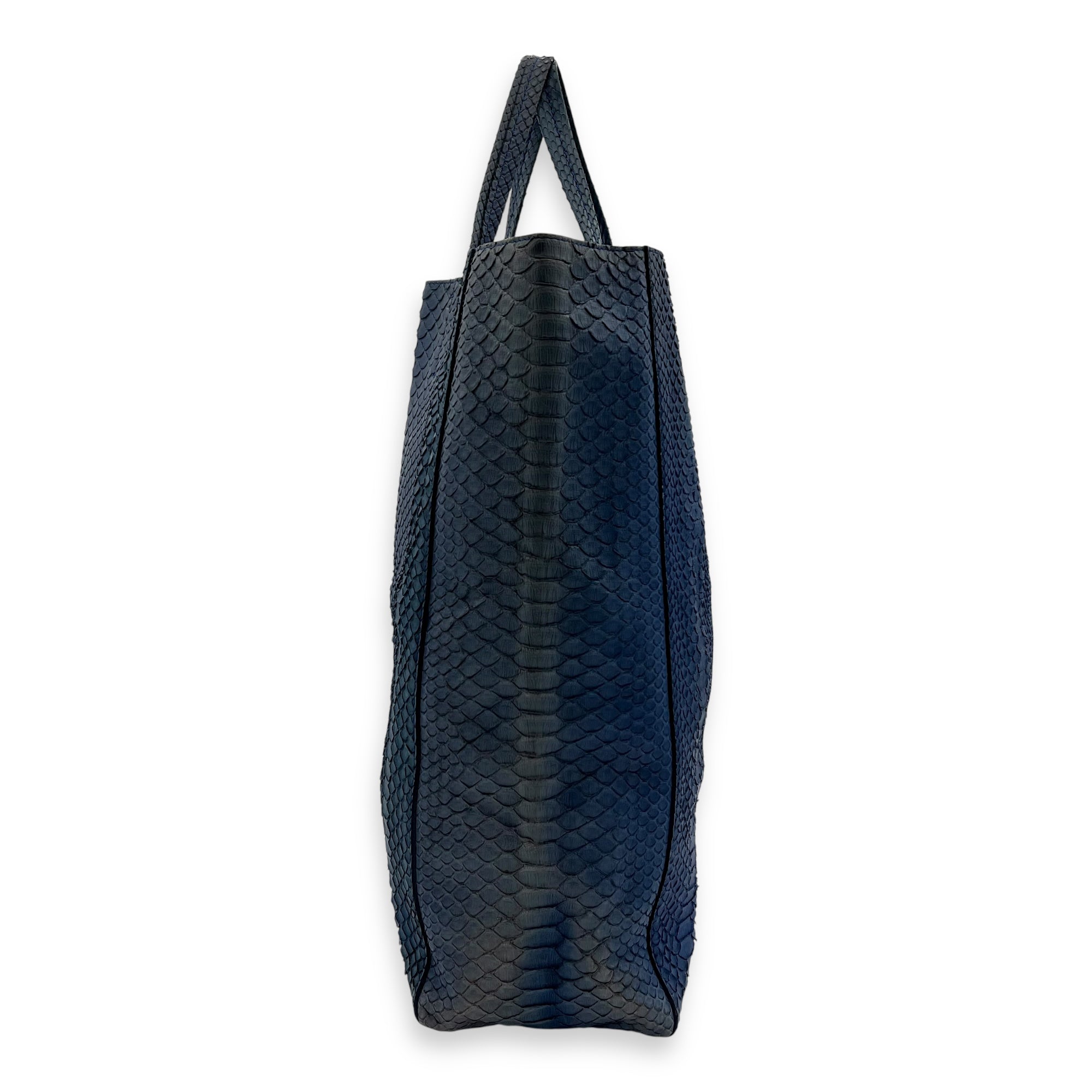 Celine Cabas Tote Bag Blue in Python Leather, Gold hardware_3