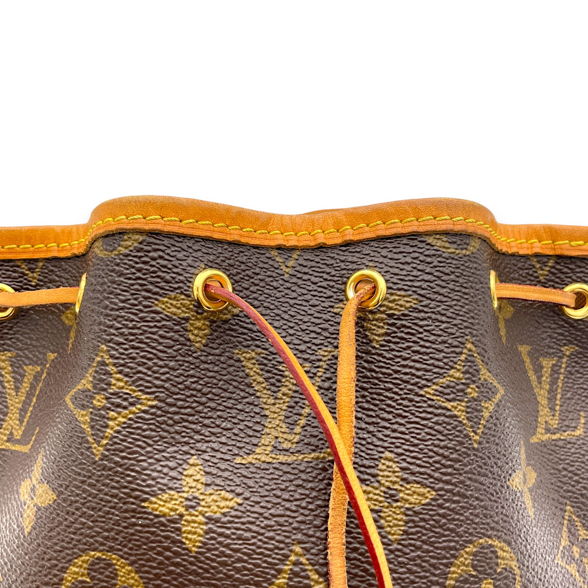 Noe Nano Brown Bucket Bag in Monogram Coated Canvas, Gold hardware