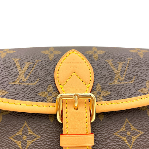 Diane Top Handle Bag Nano Brown in Monogram Coated Canvas, Gold hardware