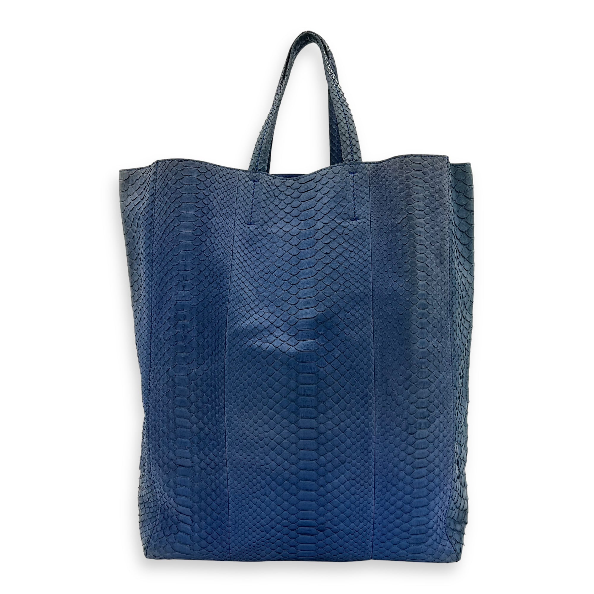 Celine Cabas Tote Bag Blue in Python Leather, Gold hardware_1