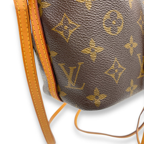 Noe Nano Brown Bucket Bag in Monogram Coated Canvas, Gold hardware