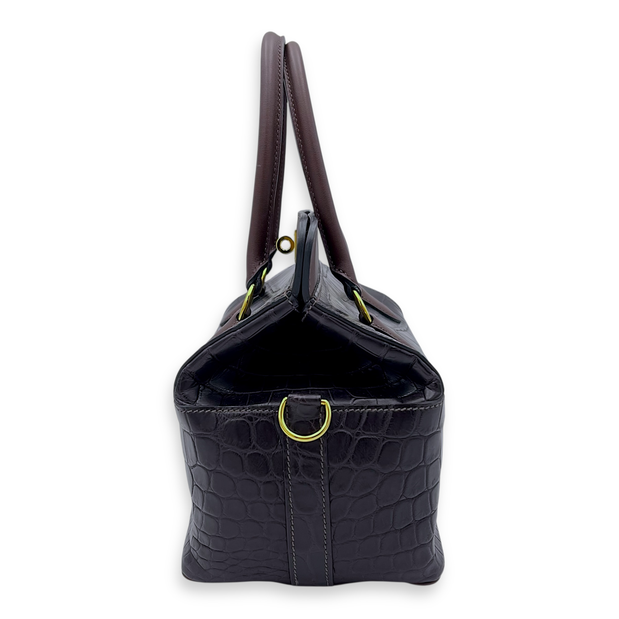 Hermès Toolbox Touch 20 Prunoir/Prune Top Handle Bag in Crocodile Niloticus, Gold hardware_3