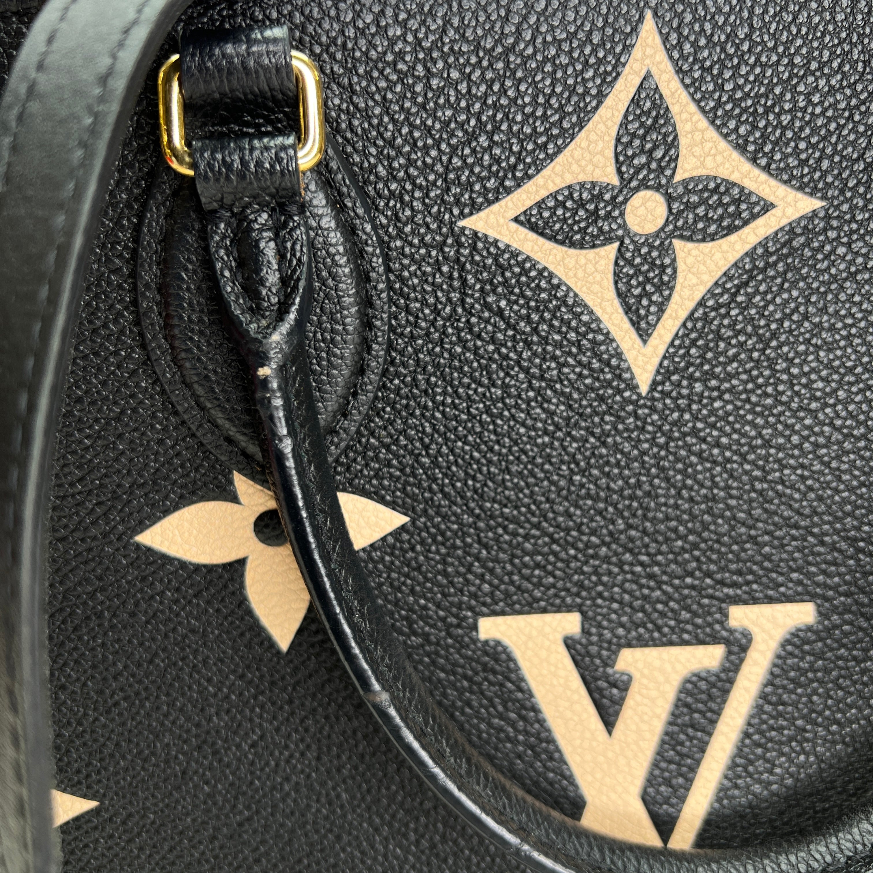 Louis vuitton big tote bag hotsell