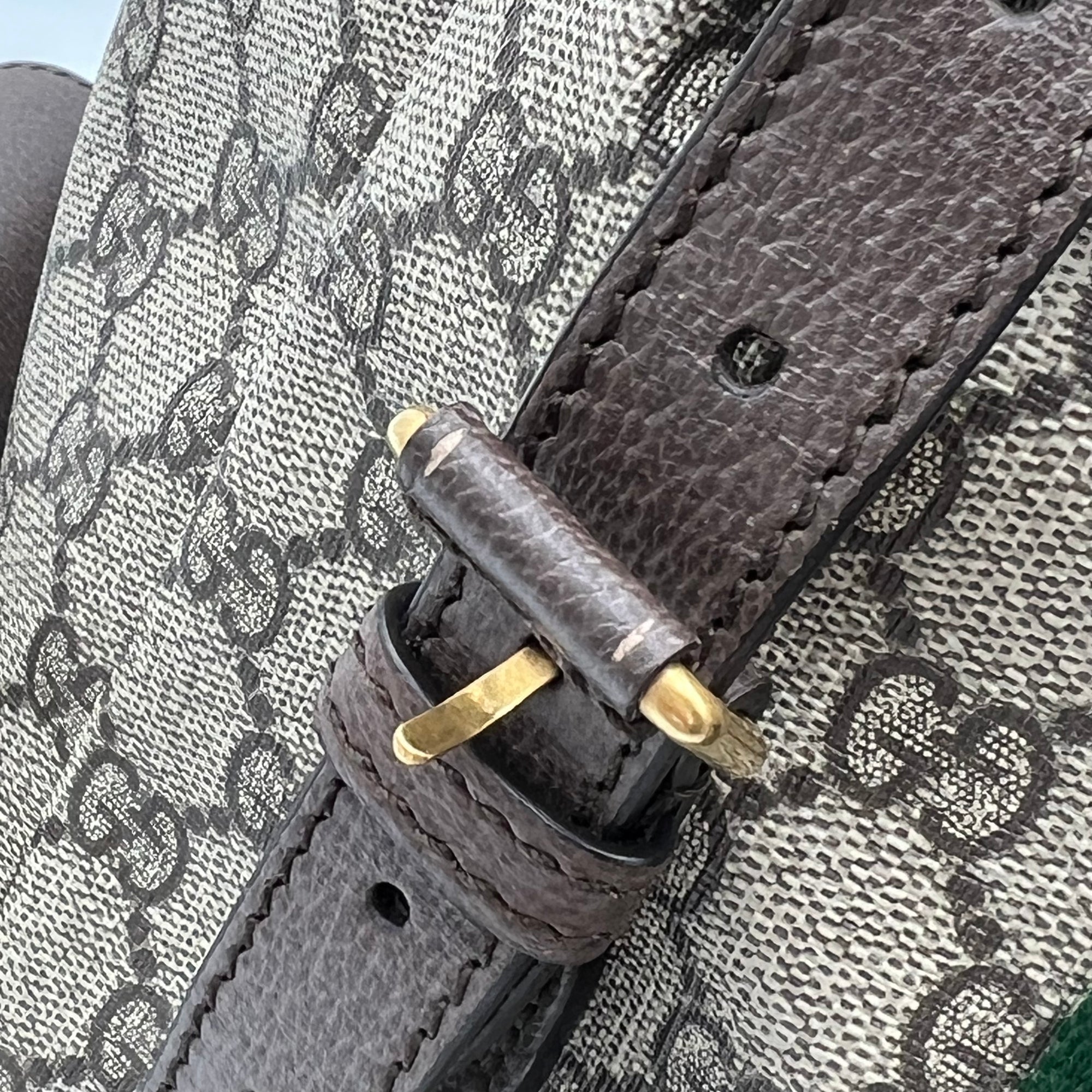 Ophidia Backpack Brown in Monogram Coated Canvas, Gold hardware