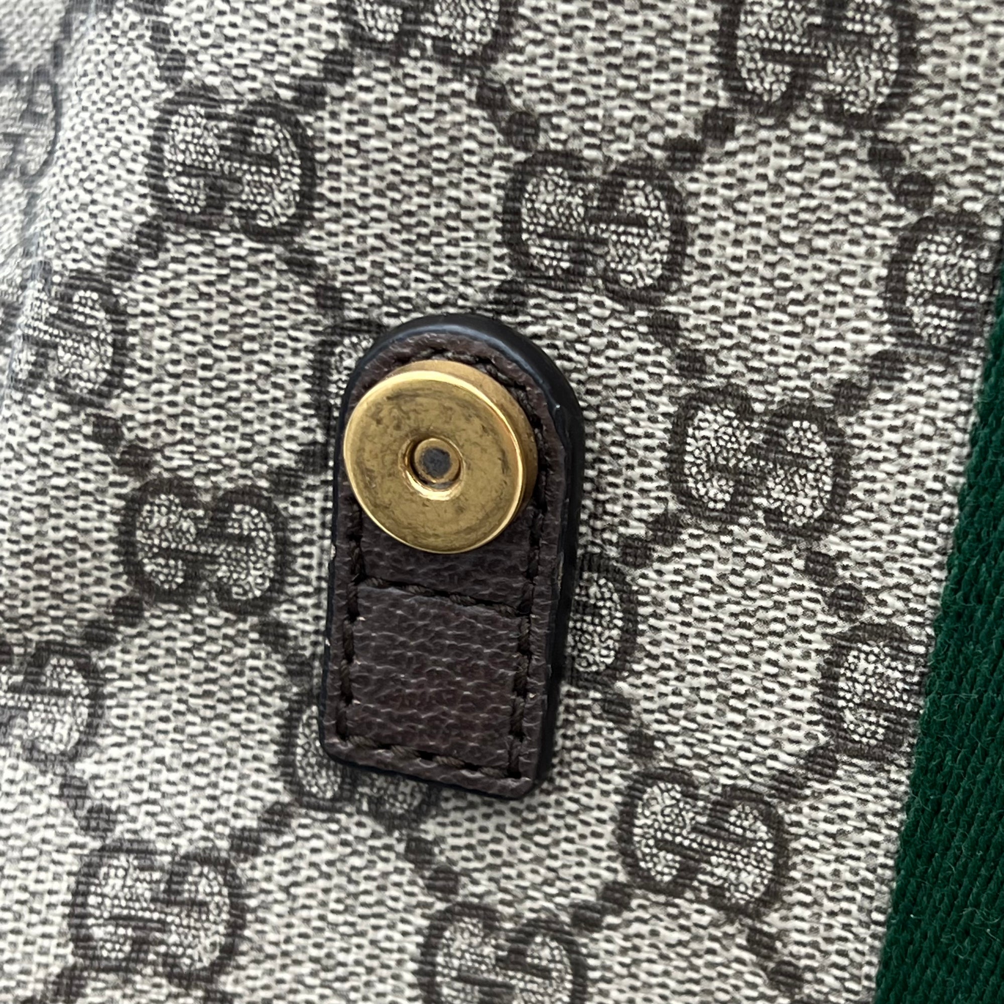 Ophidia Backpack Brown in Monogram Coated Canvas, Gold hardware