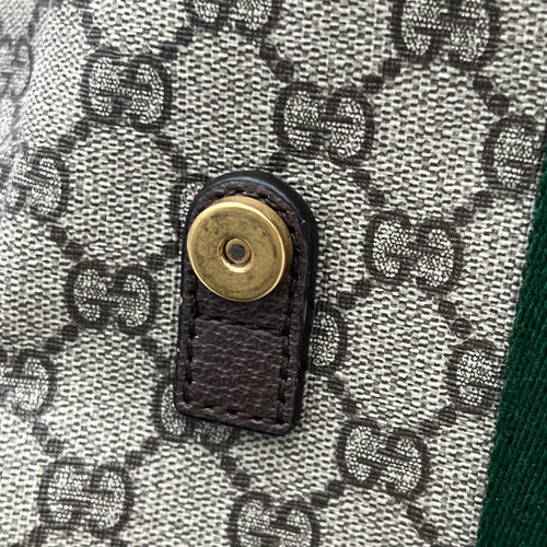 Ophidia Backpack Brown in Monogram Coated Canvas, Gold hardware