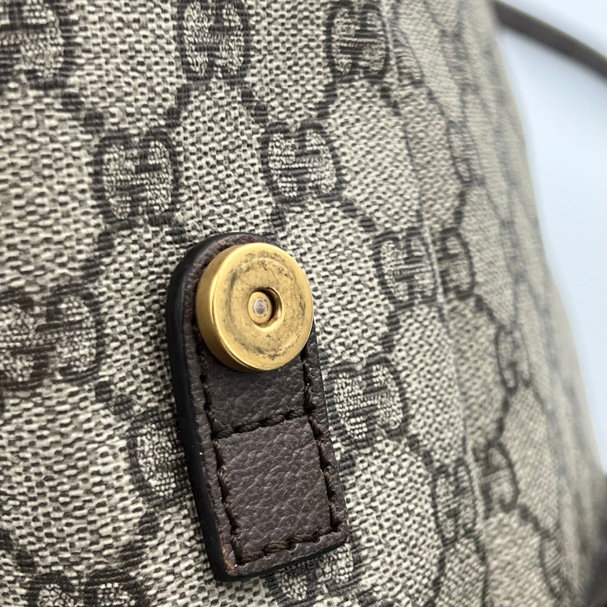 Ophidia Backpack Brown in Monogram Coated Canvas, Gold hardware