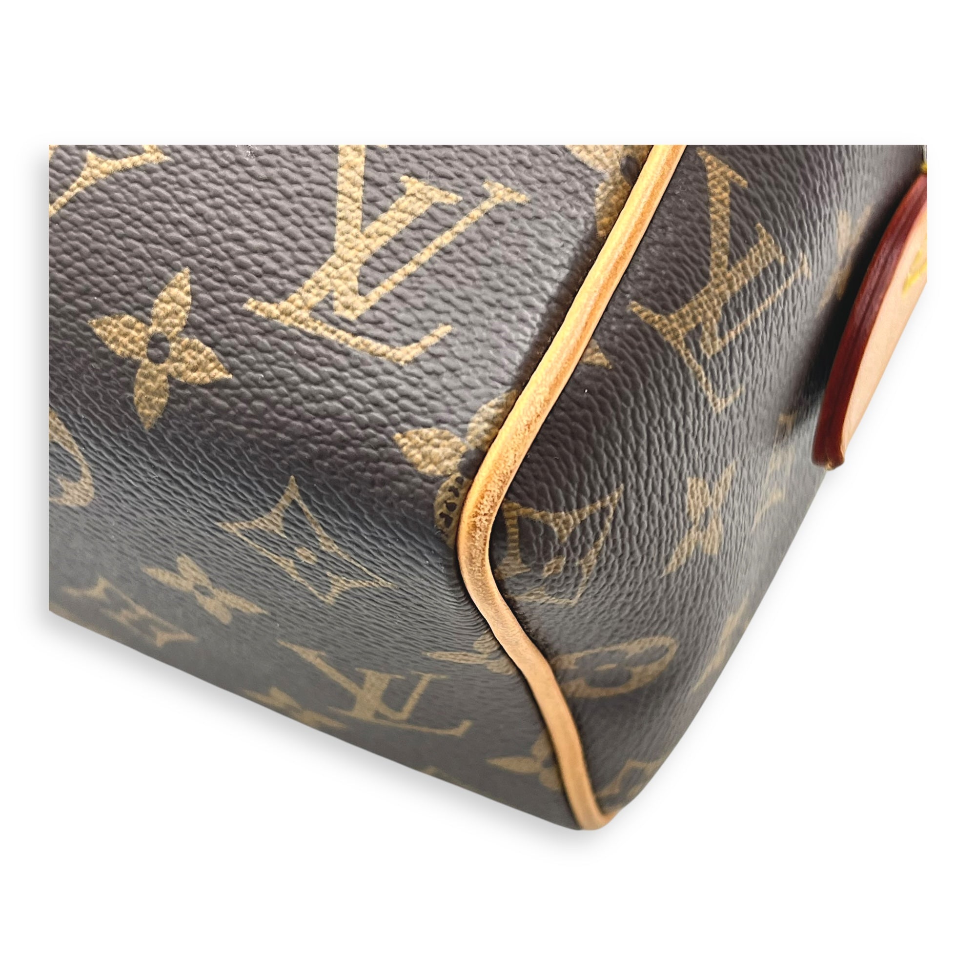 Speedy Top Handle Bag 20 Brown in Monogram Coated Canvas, Gold hardware