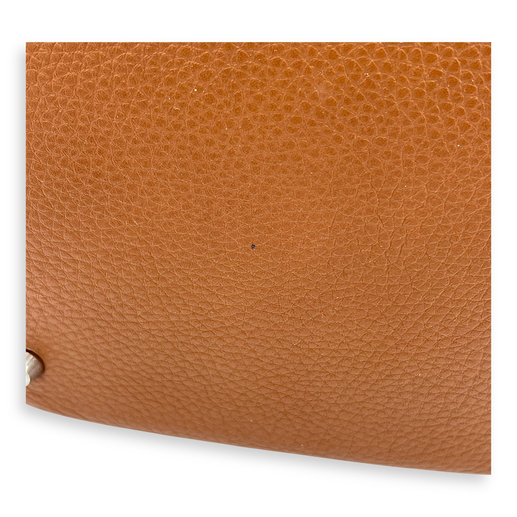 Picotin 22 Gold Top Handle Bag in Clemence, Palladium hardware