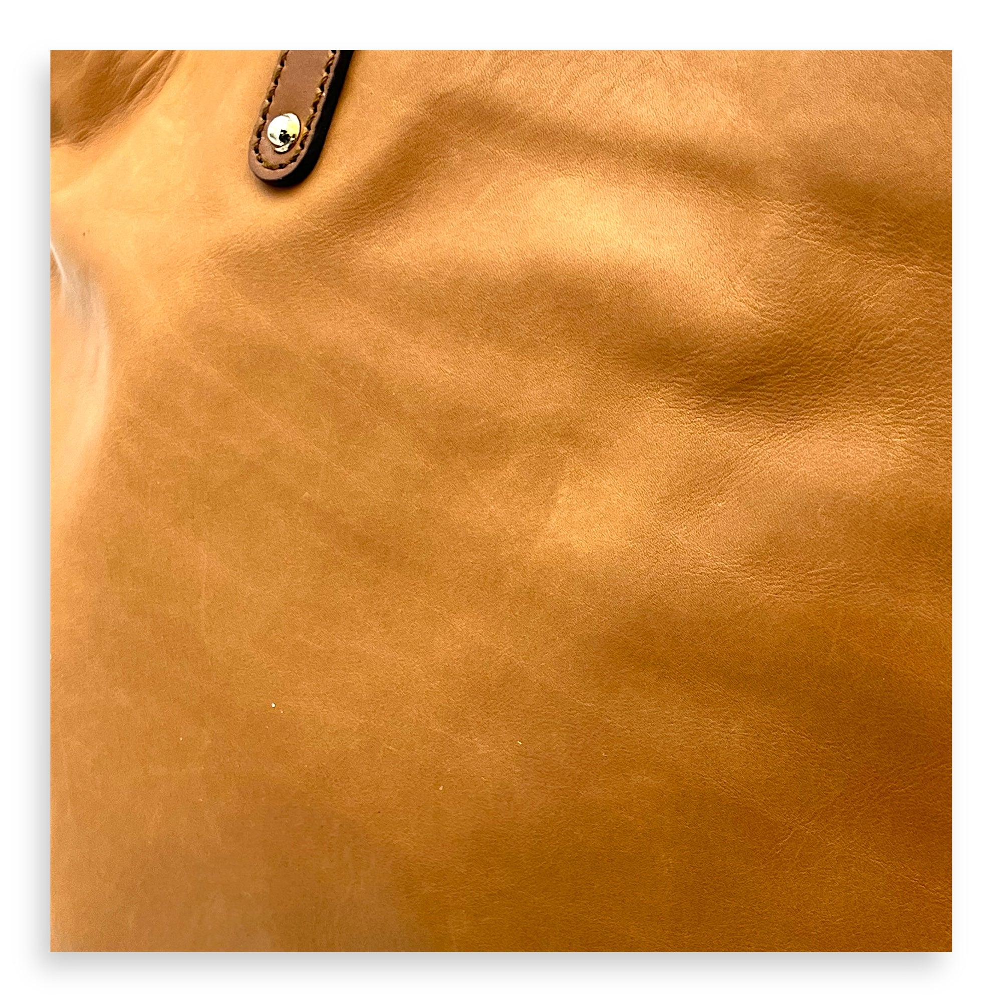 GG Tote Bag Brown in Calfskin, Gold hardware
