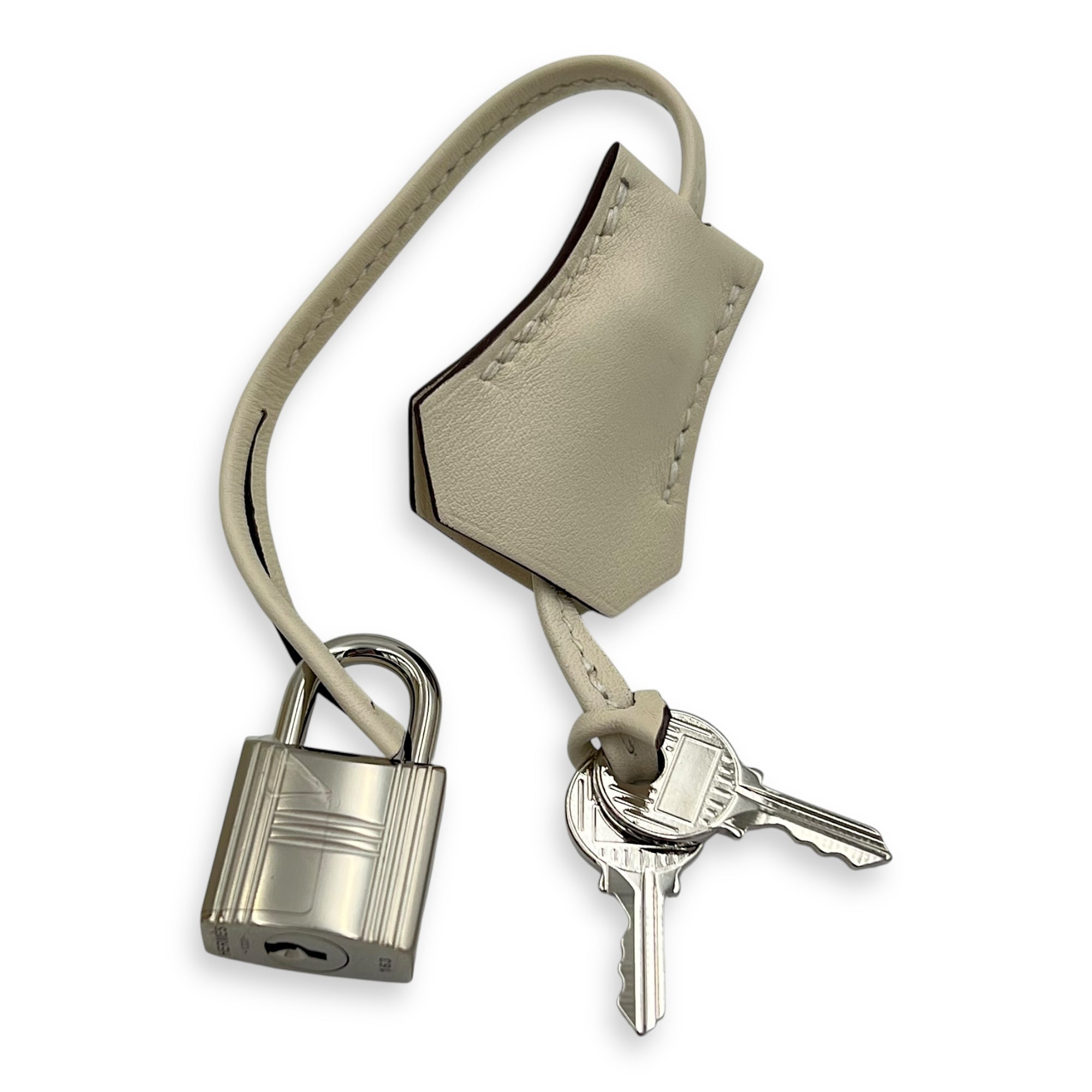 Kelly In and Out 25 Nata Top Handle Bag in Swift, Palladium hardware