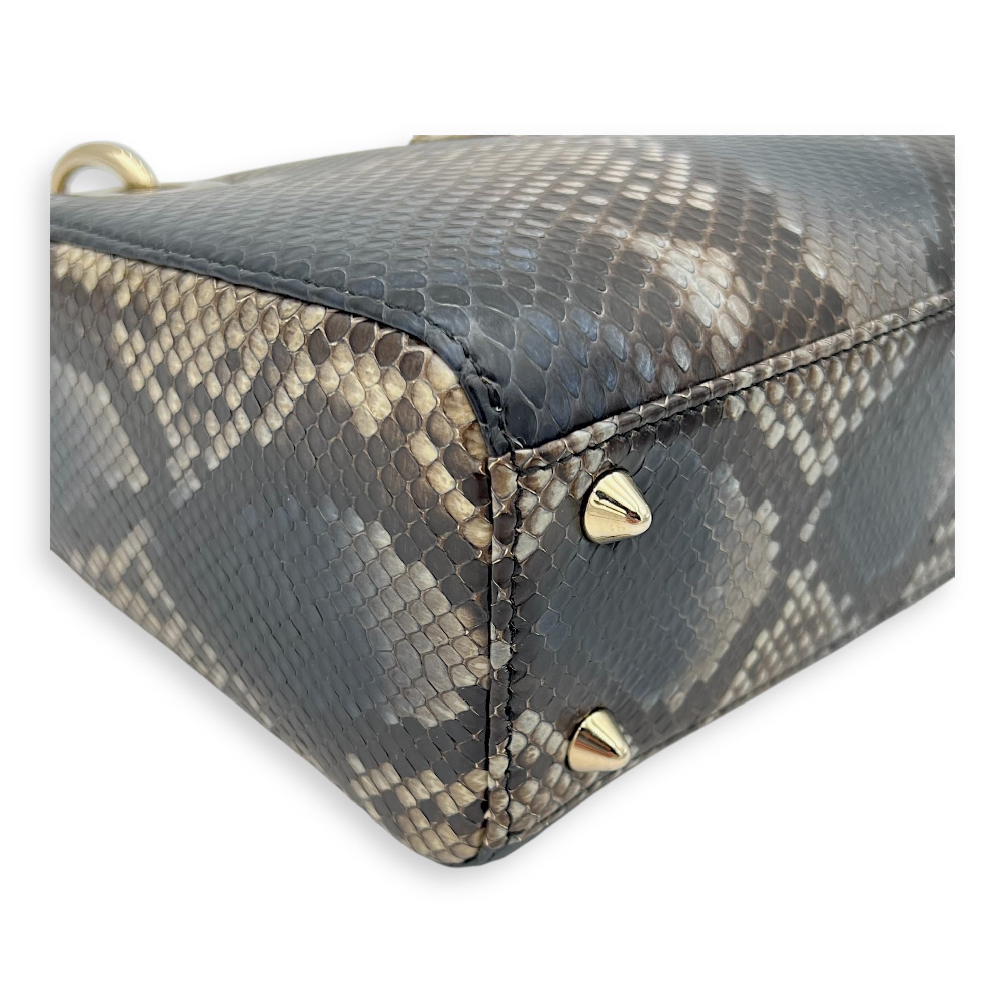 Lady Dior Top Handle Bag Grey in Python Leather, Gold hardware