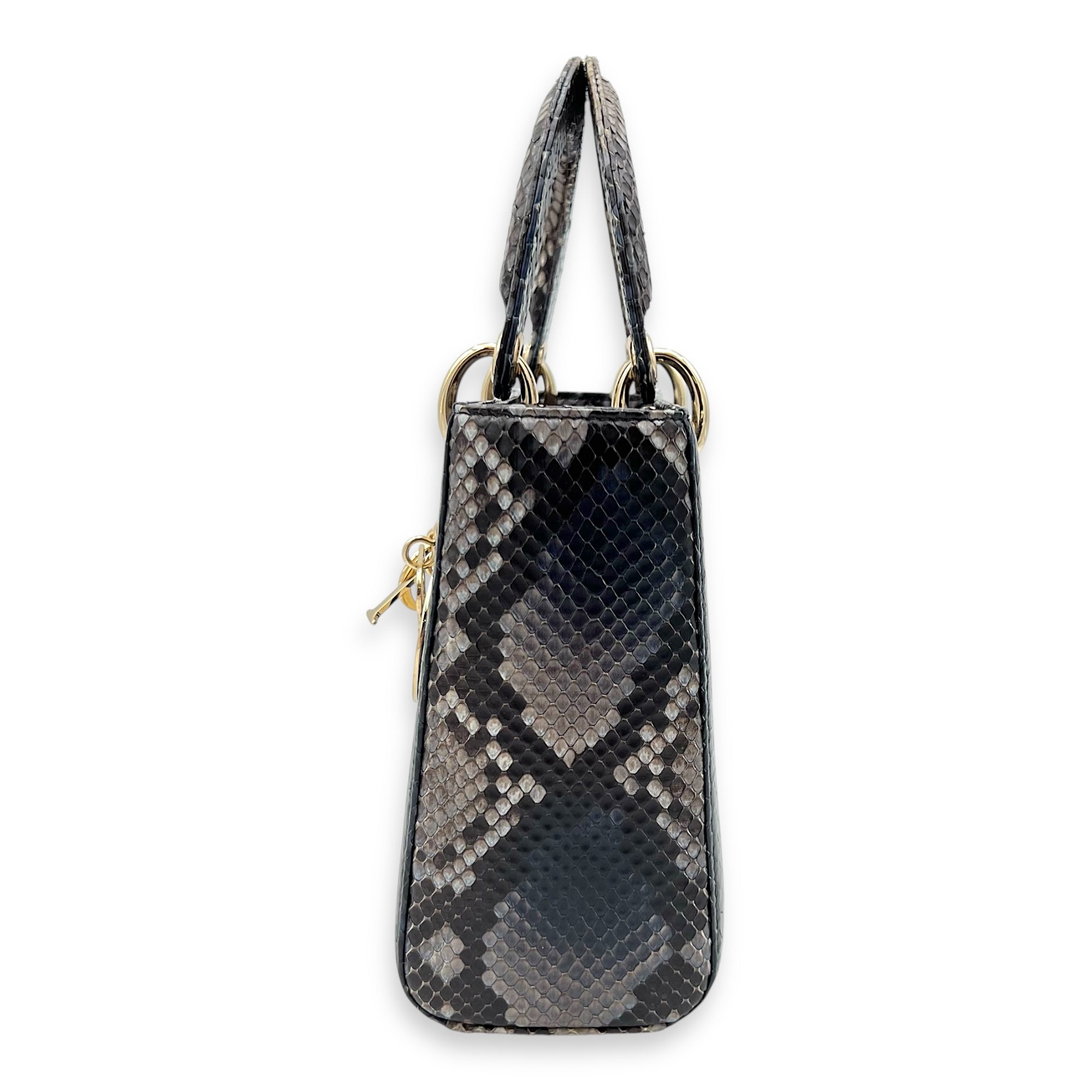Lady Dior Top Handle Bag Grey in Python Leather, Gold hardware