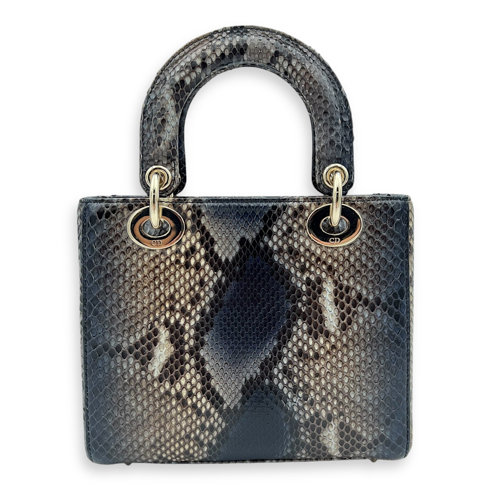 Lady Dior Top Handle Bag Grey in Python Leather, Gold hardware