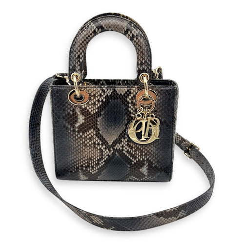 Lady Dior Top Handle Bag Grey in Python Leather, Gold hardware