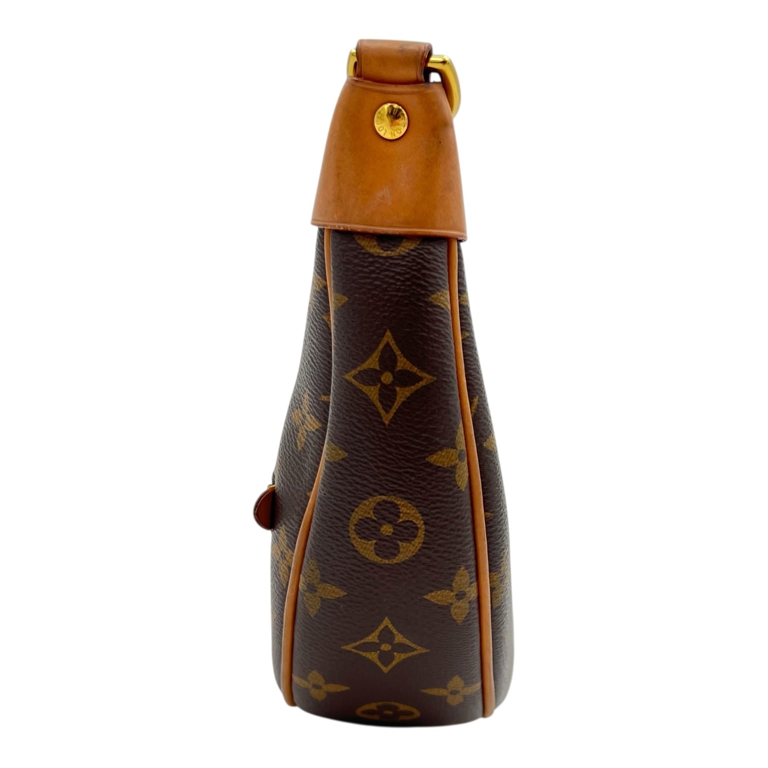 Loop Shoulder Bag Brown in Monogram Coated Canvas, Gold hardware