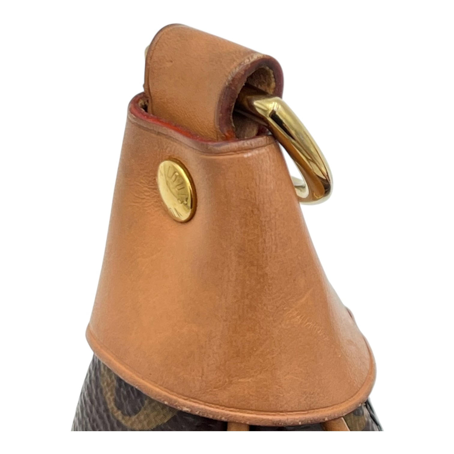 Loop Shoulder Bag Brown in Monogram Coated Canvas, Gold hardware