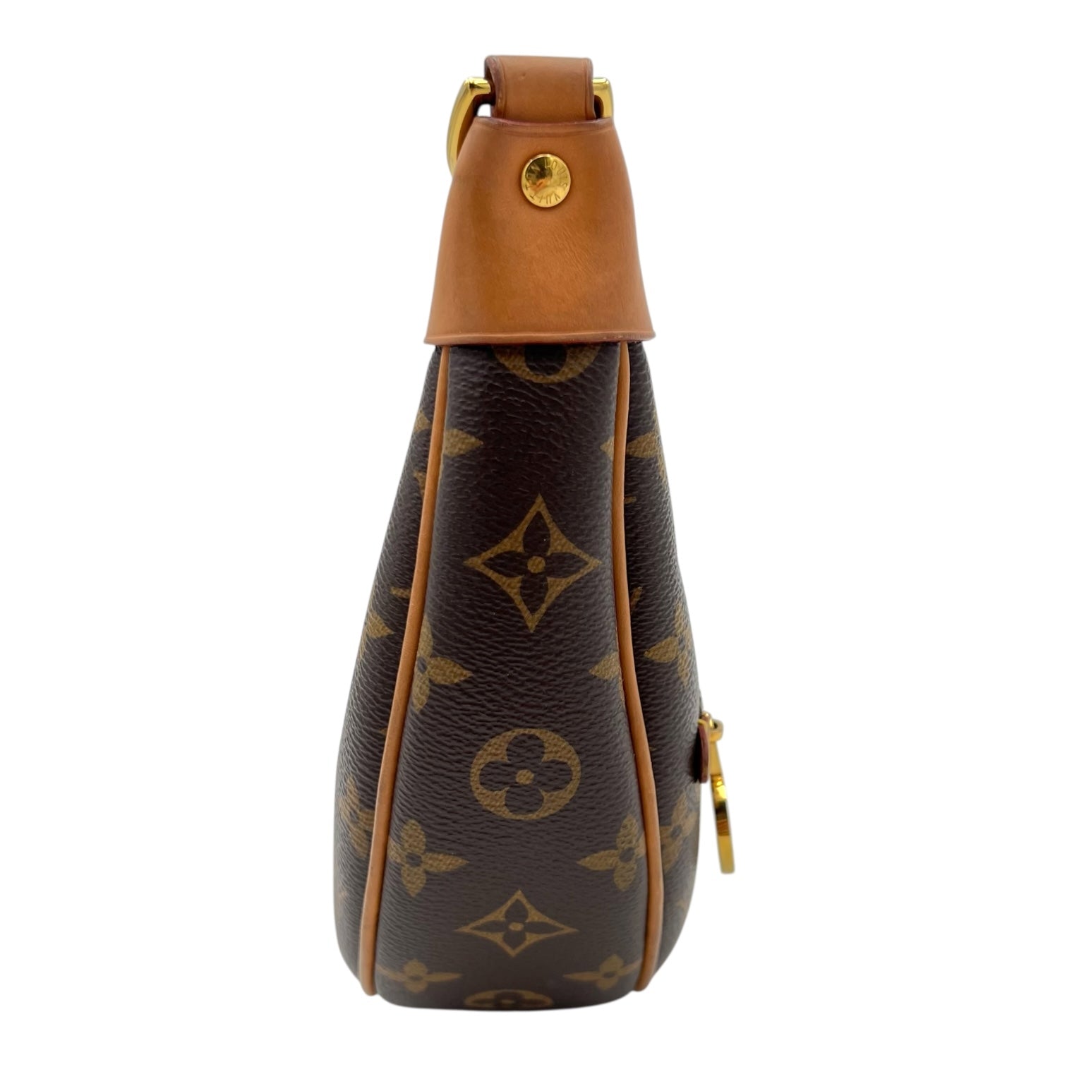 Loop Shoulder Bag Brown in Monogram Coated Canvas, Gold hardware