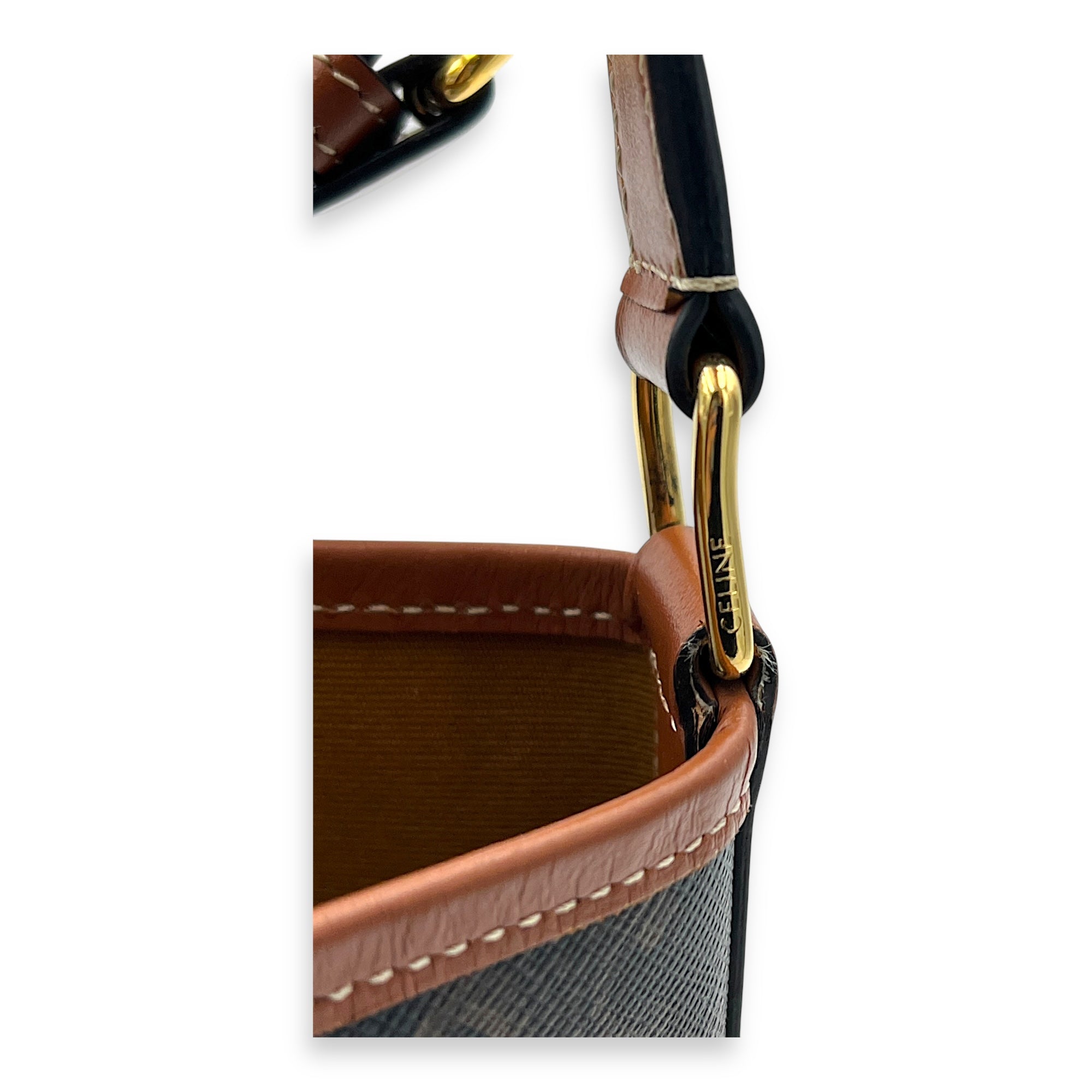 Triomphe Bucket Bag Brown in Coated Canvas, Gold hardware