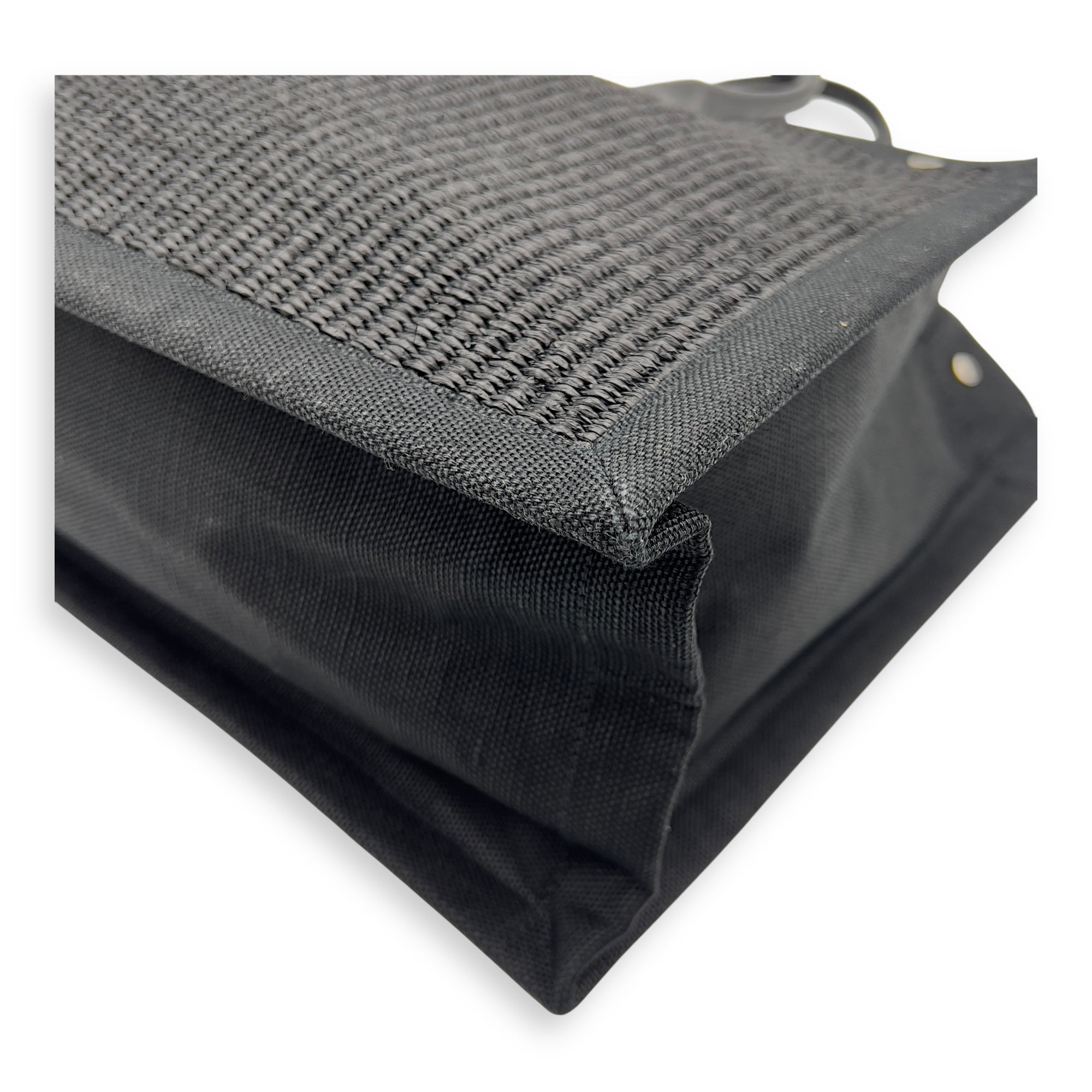 Hand Tote Tote Bag Black in Raffia and Canvas, Silver hardware