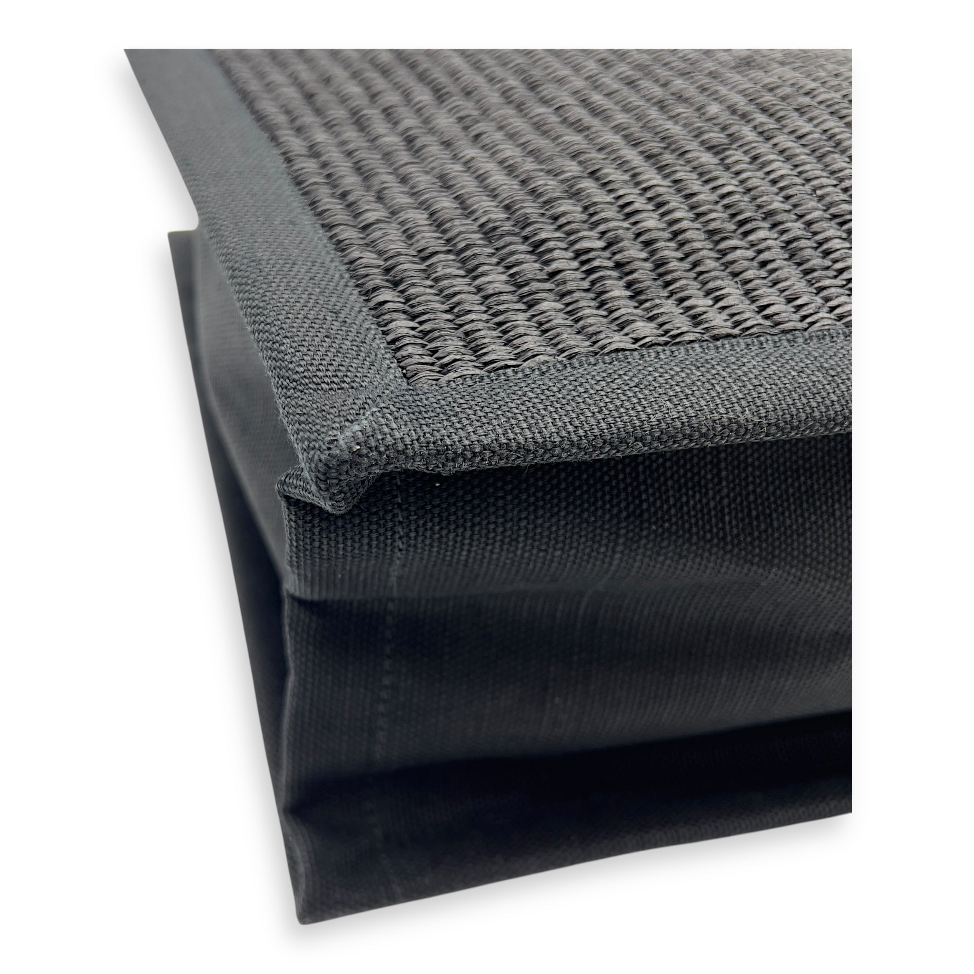 Hand Tote Tote Bag Black in Raffia and Canvas, Silver hardware