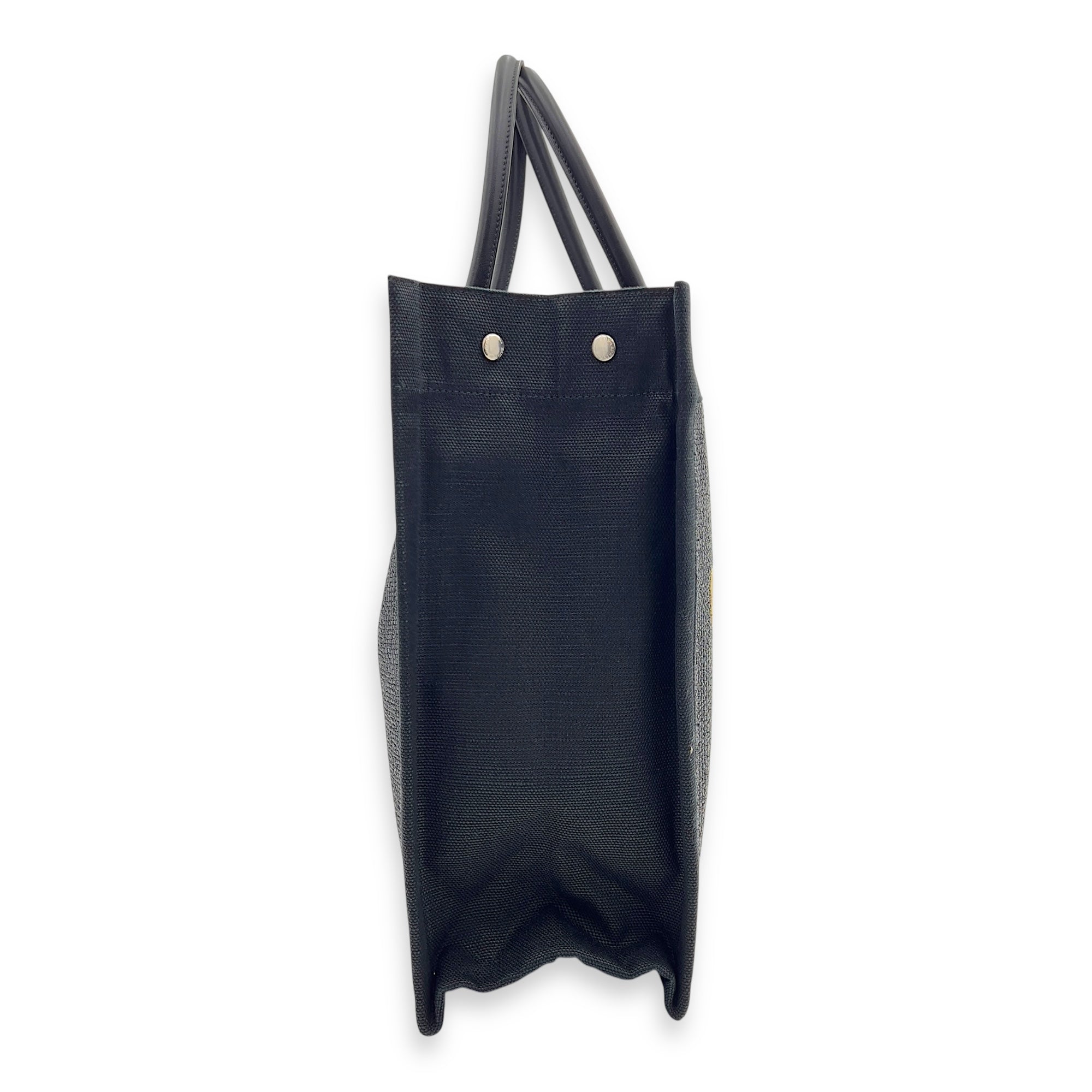 Hand Tote Tote Bag Black in Raffia and Canvas, Silver hardware