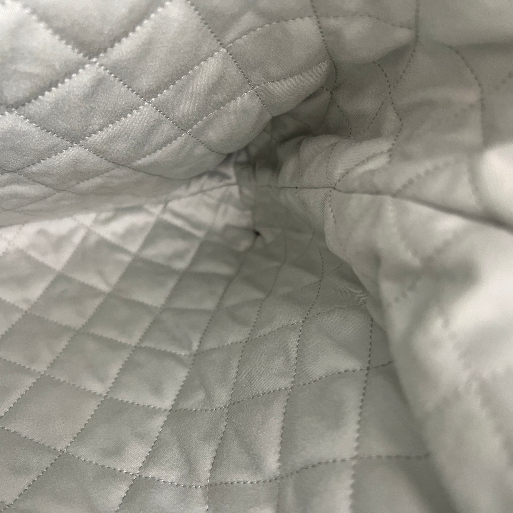 C22 Grey Backpack in Calfskin, Gold hardware