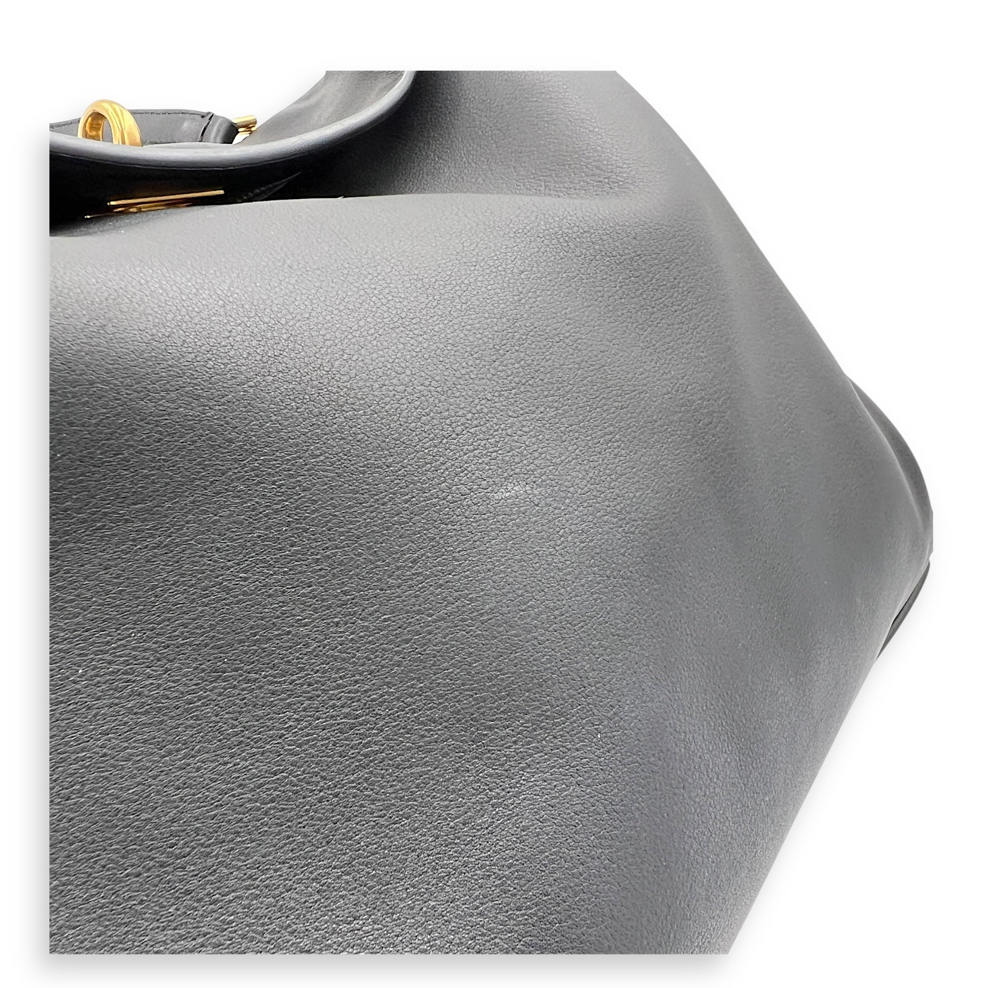 Rodeo Top Handle Bag Medium Black in Calfskin, Gold hardware