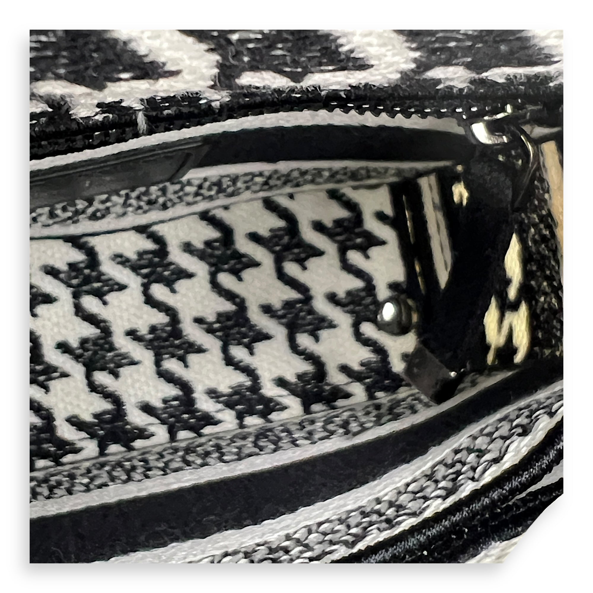 Lady D-Lite Top Handle Bag Multi-colour in Canvas, Silver hardware