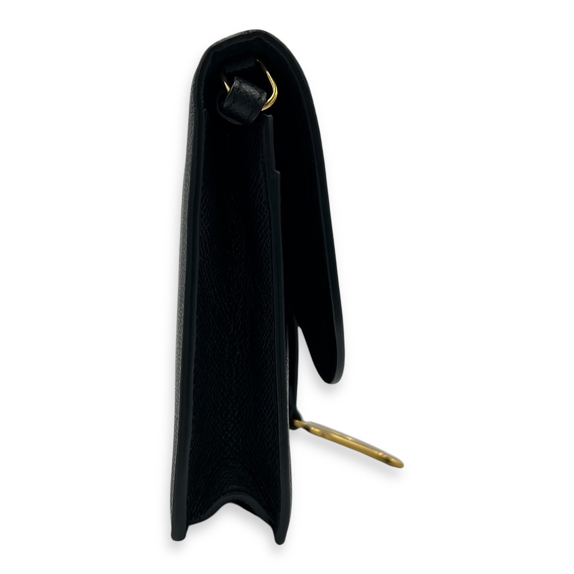 Saddle Wallet On Strap Black in Calfskin, Gold hardware