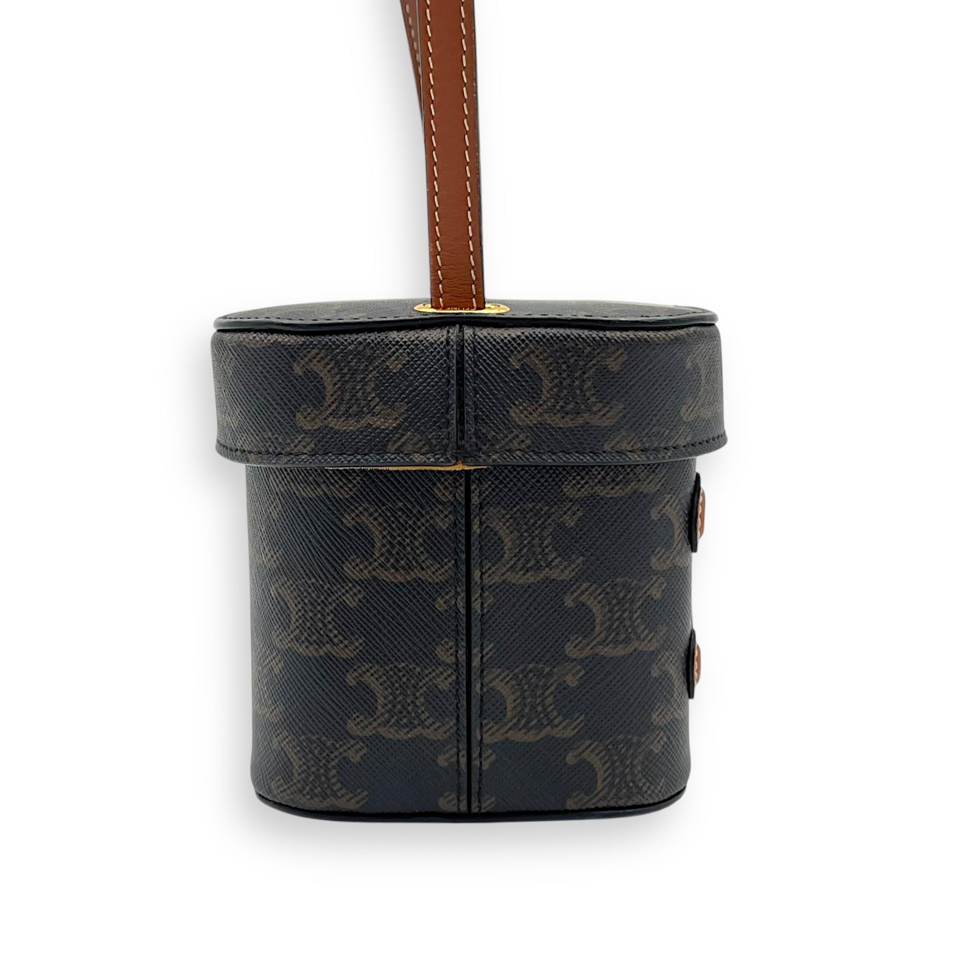 Triomphe Vanity Bag Brown in Coated Canvas, Gold hardware