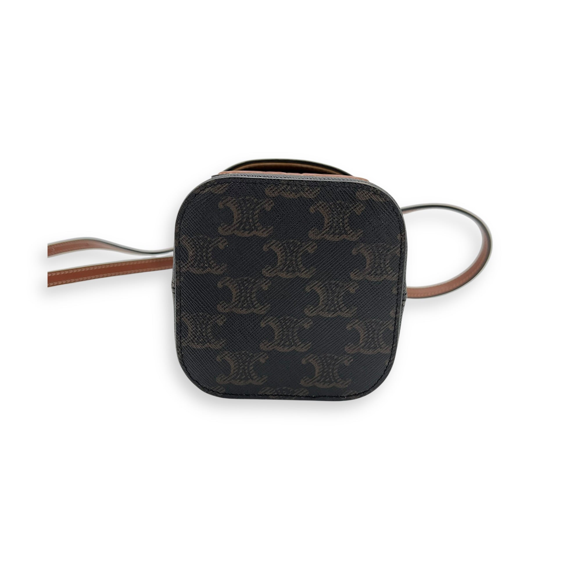 Triomphe Vanity Bag Brown in Coated Canvas, Gold hardware