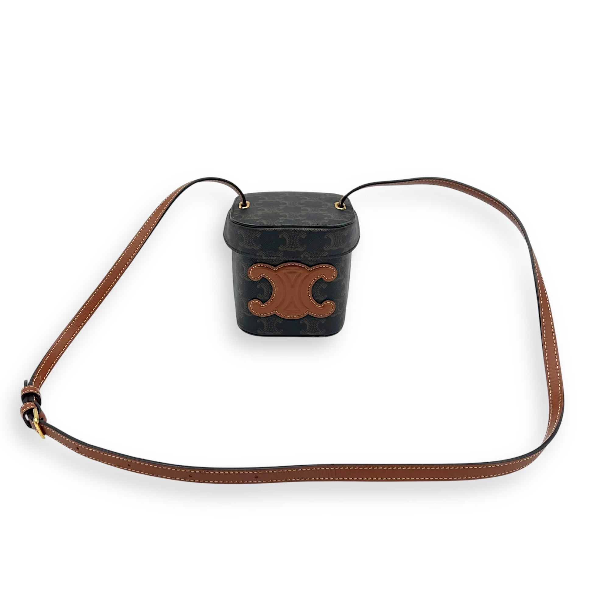 Triomphe Vanity Bag Brown in Coated Canvas, Gold hardware