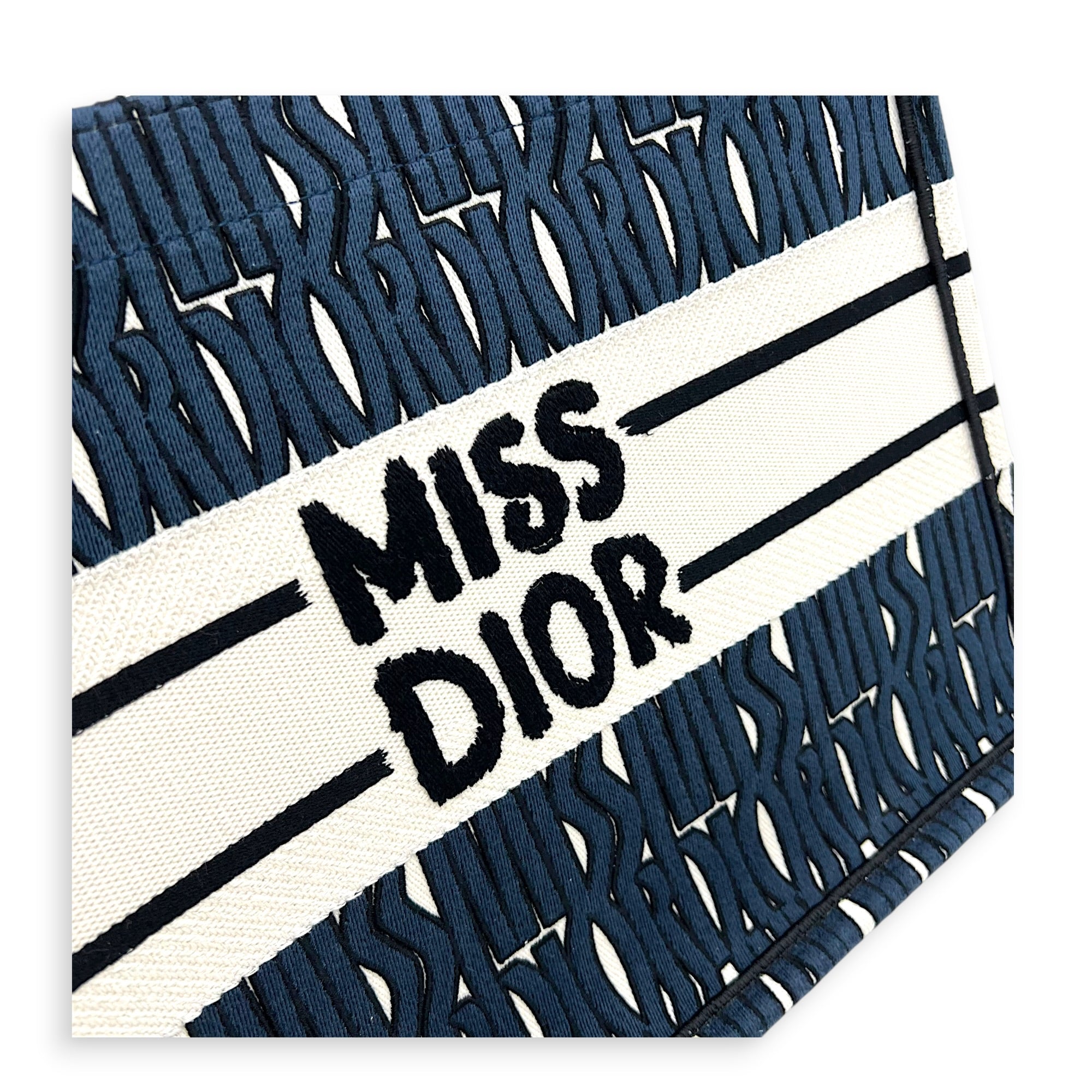 Miss Dior Book Tote Medium Blue Tote Bag in Canvas