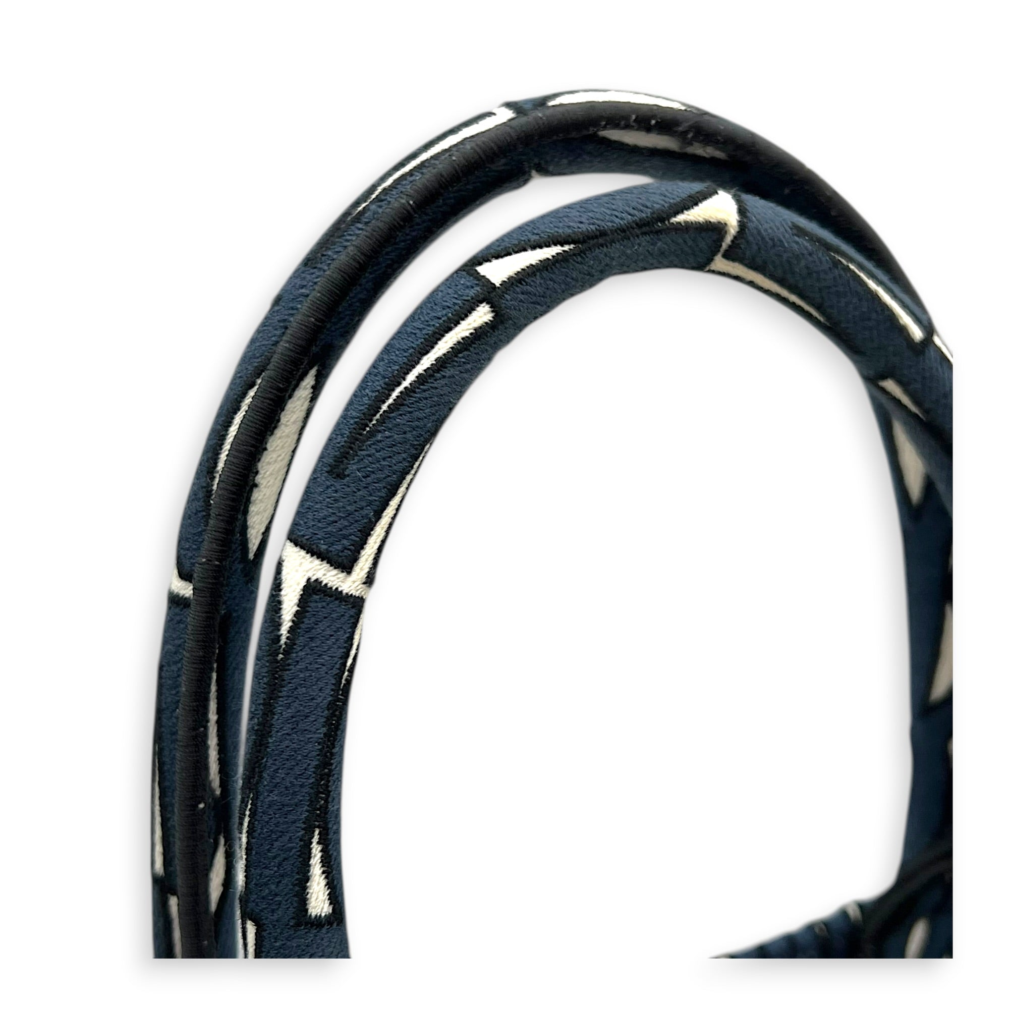 Miss Dior Book Tote Medium Blue Tote Bag in Canvas